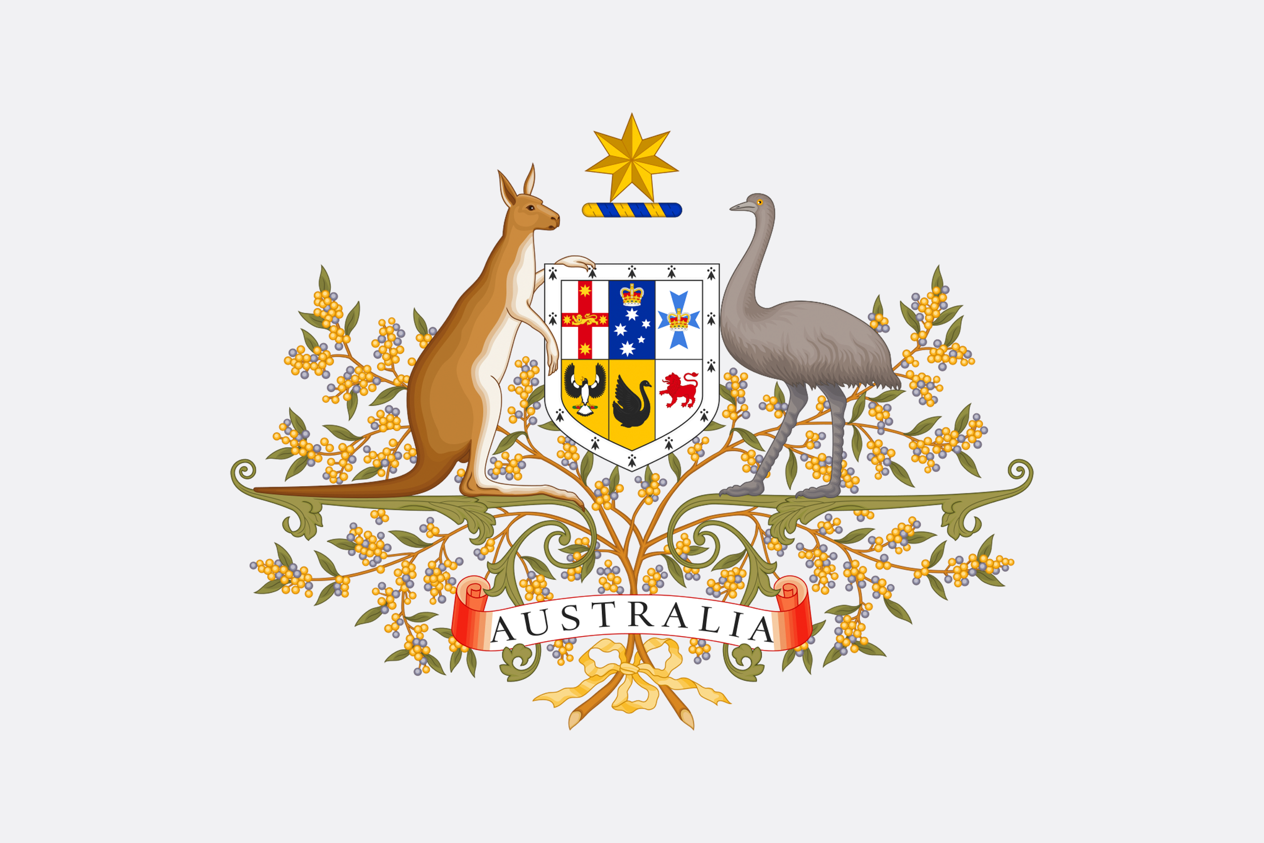  The  coat of arms of Australia  features a spray of wattle. 