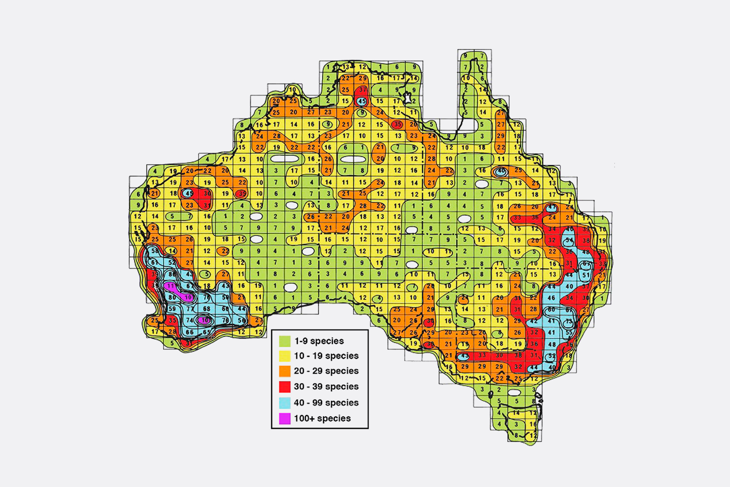  Species-richness map for Australian Acacia (wattle). Source:  worldwidewattle.com  