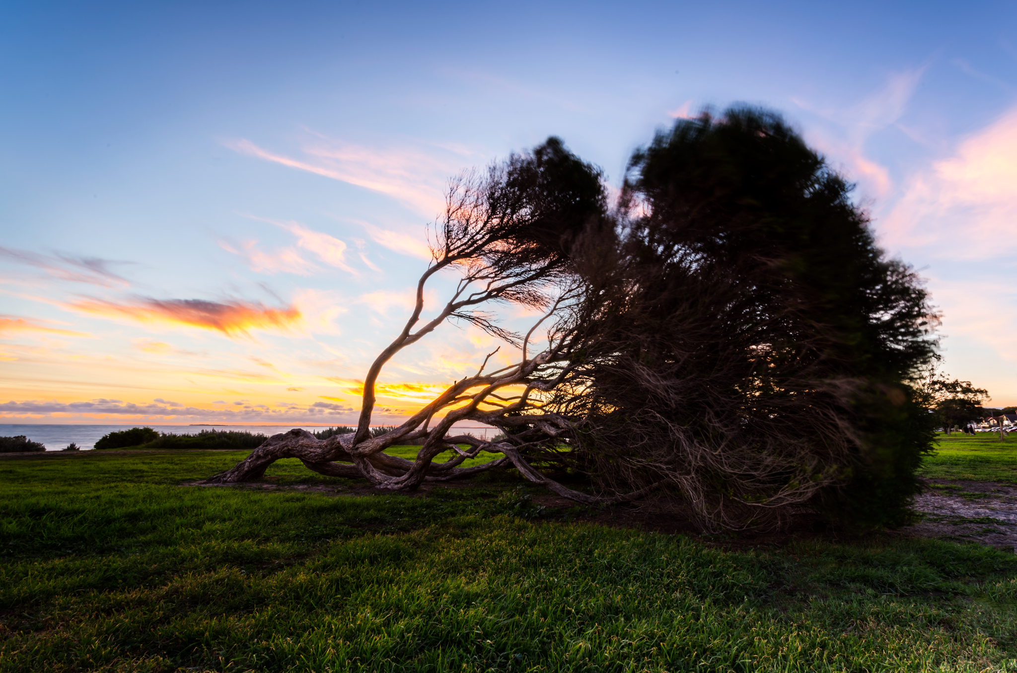 Williamstown