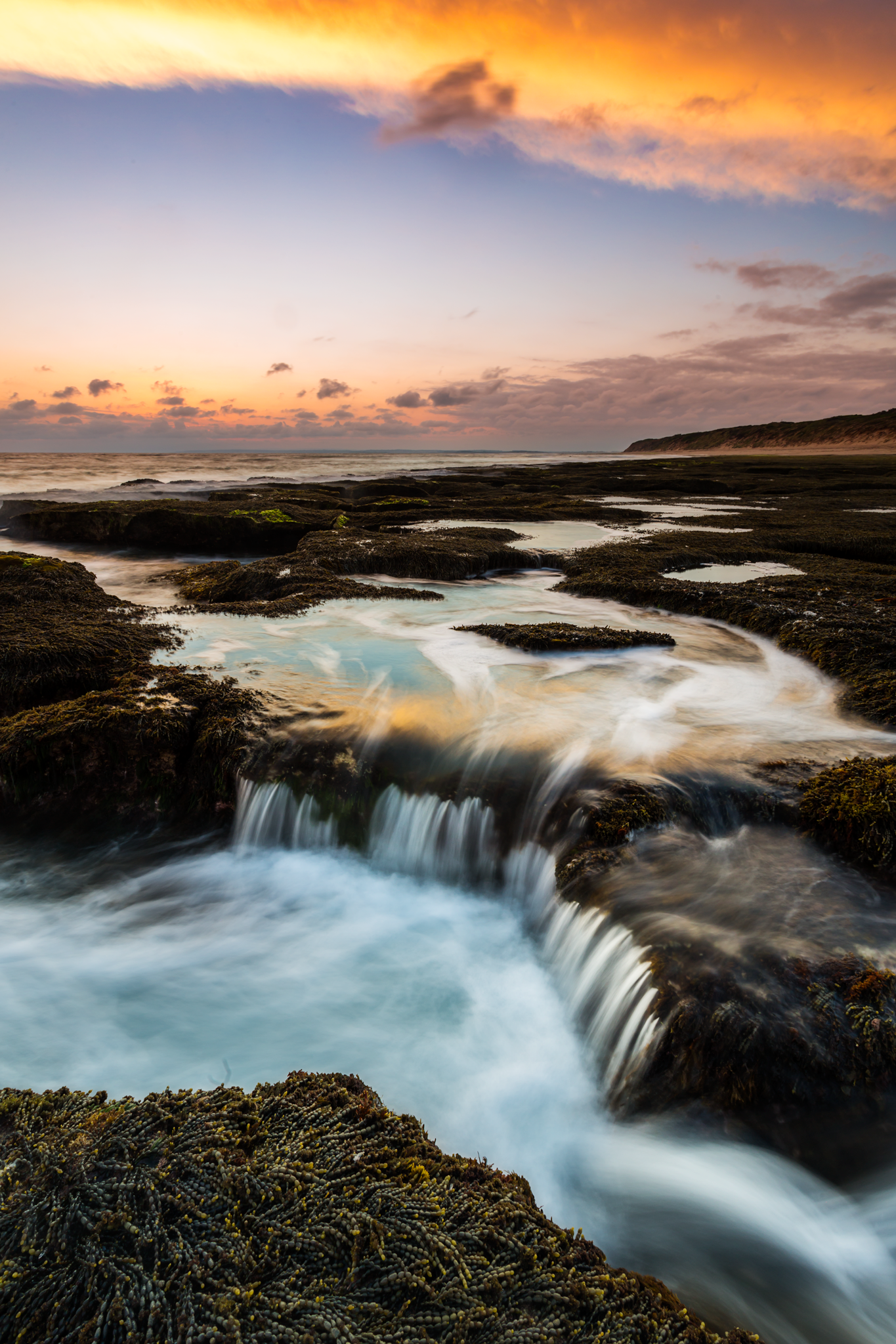 barwon-beach-1.png