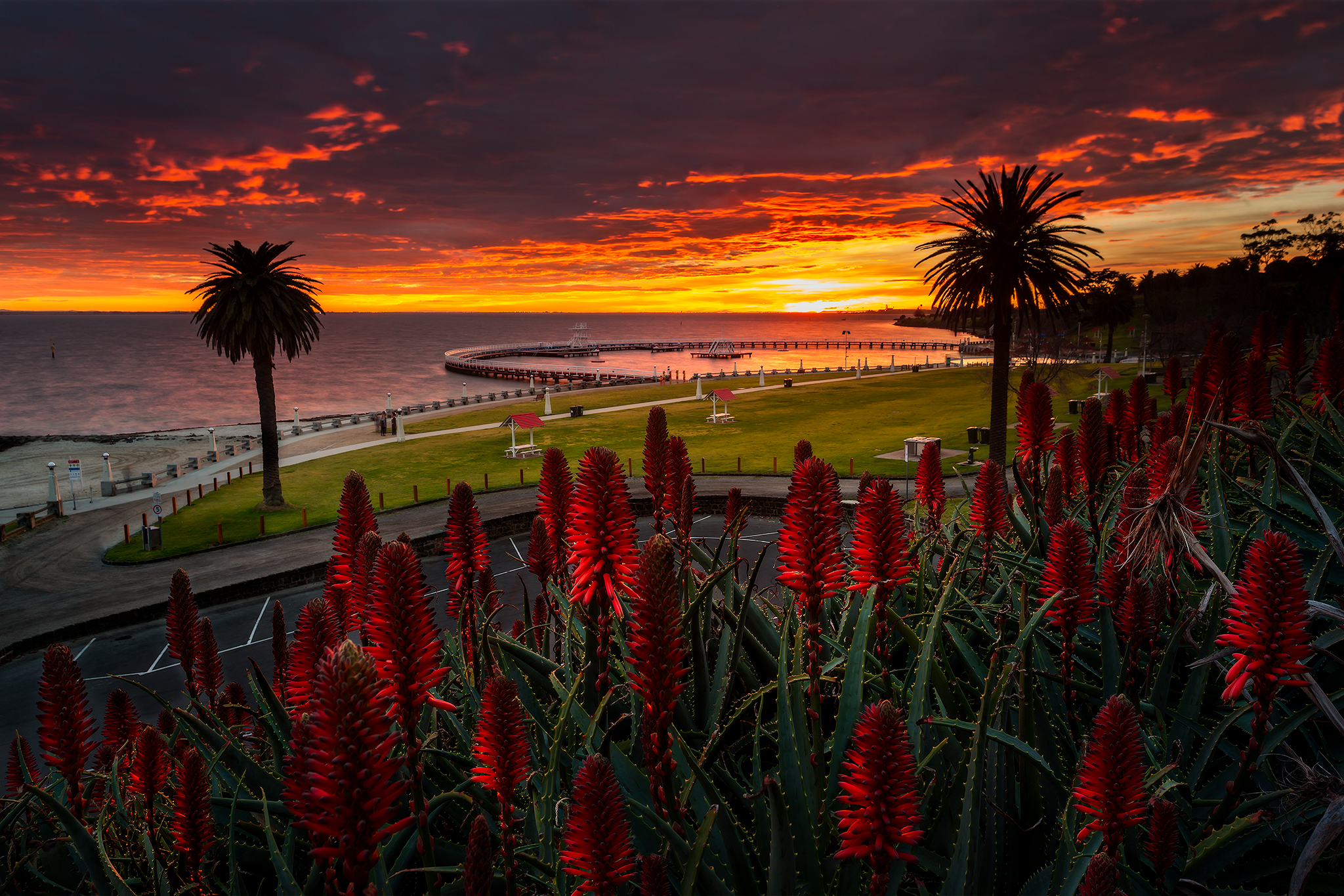Adam-dyson-landscape-photography-geelong02