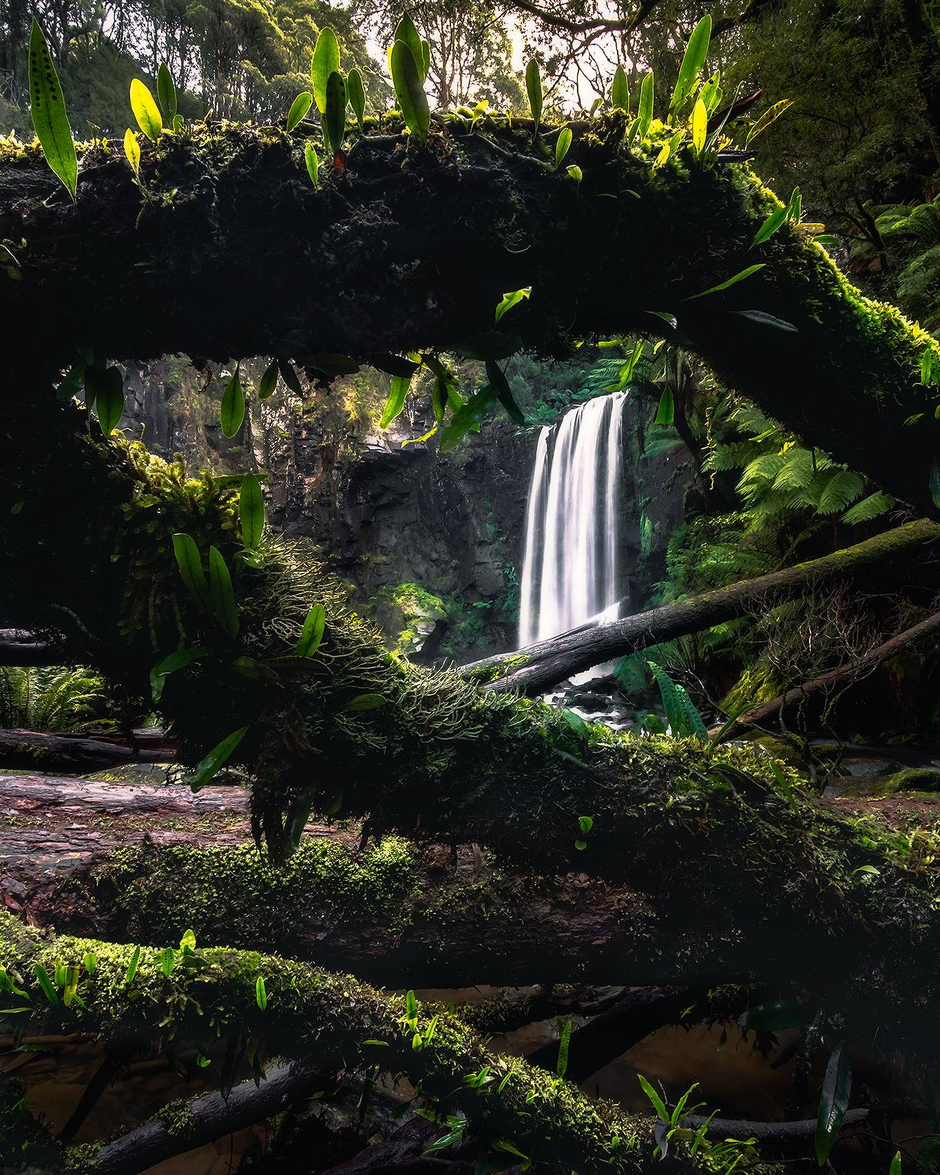 Hopetounfalls photography courses_adamdyson.png