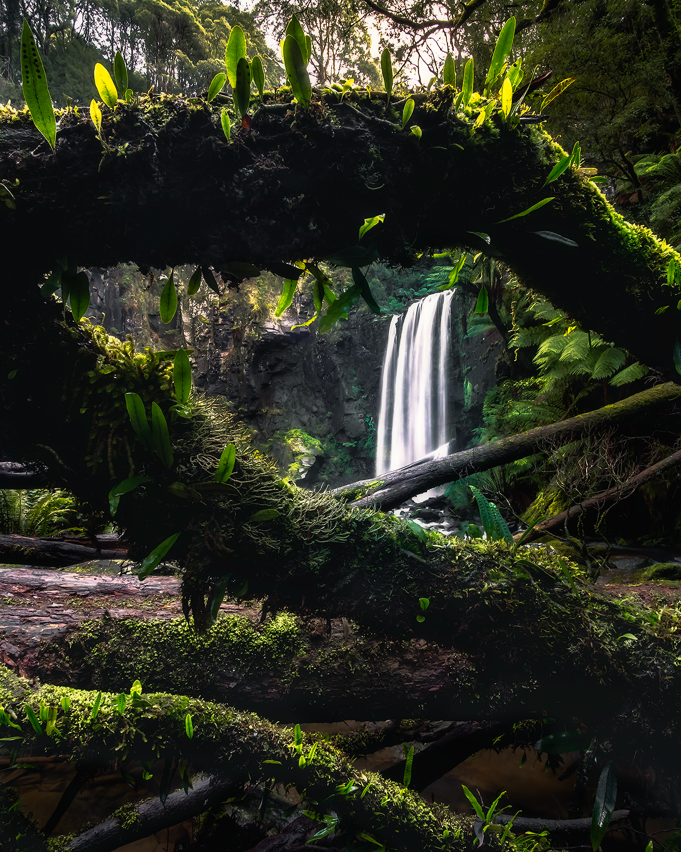 Adam-dyson-landscape-photography-hopetoun-falls