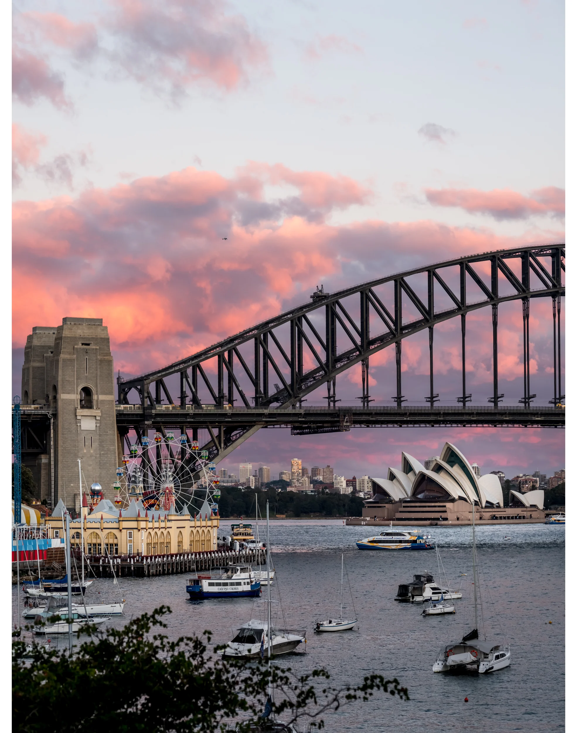 Sydney Photography courses sydney harbour 01.png
