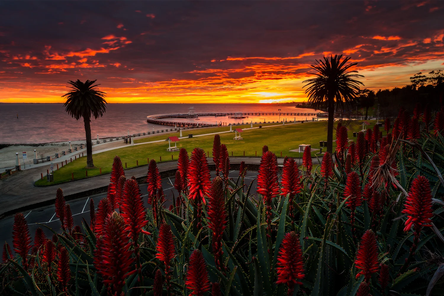 Geelong_waterfront-red.jpg