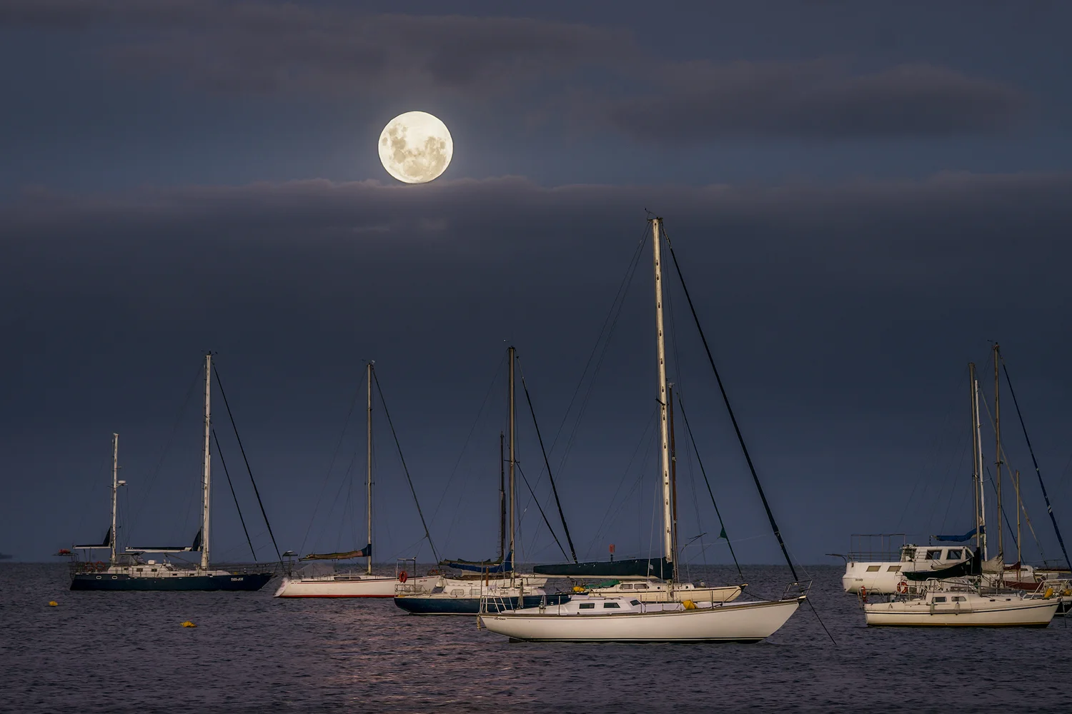 moon-rise01.jpg