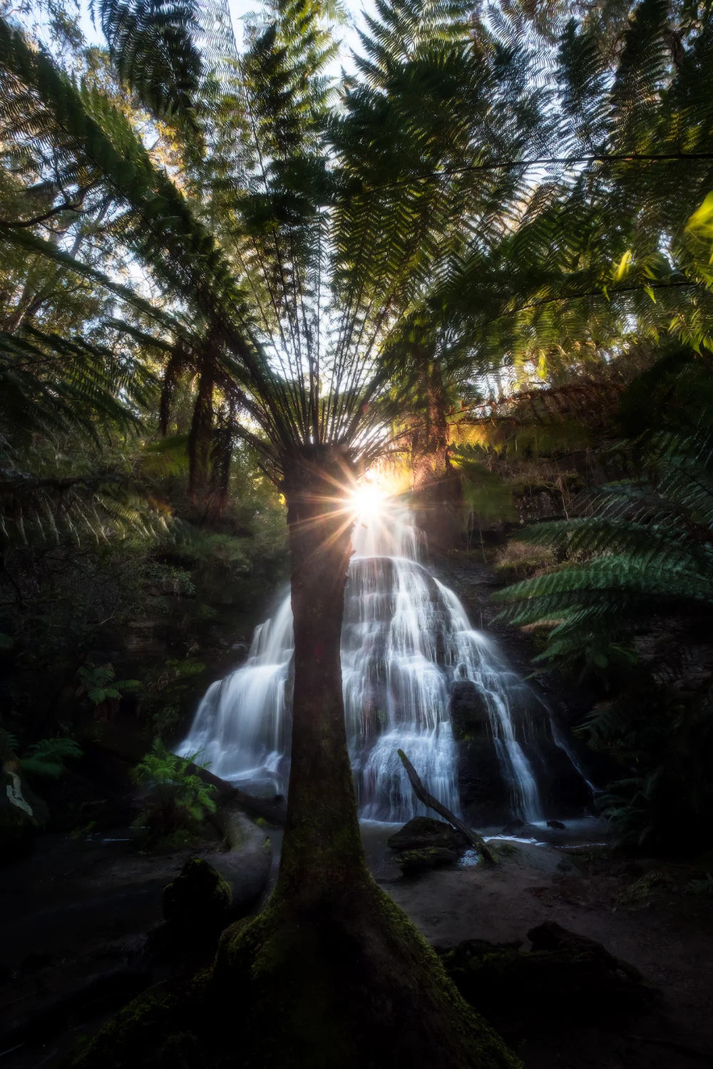 Henderson_falls_01.jpg