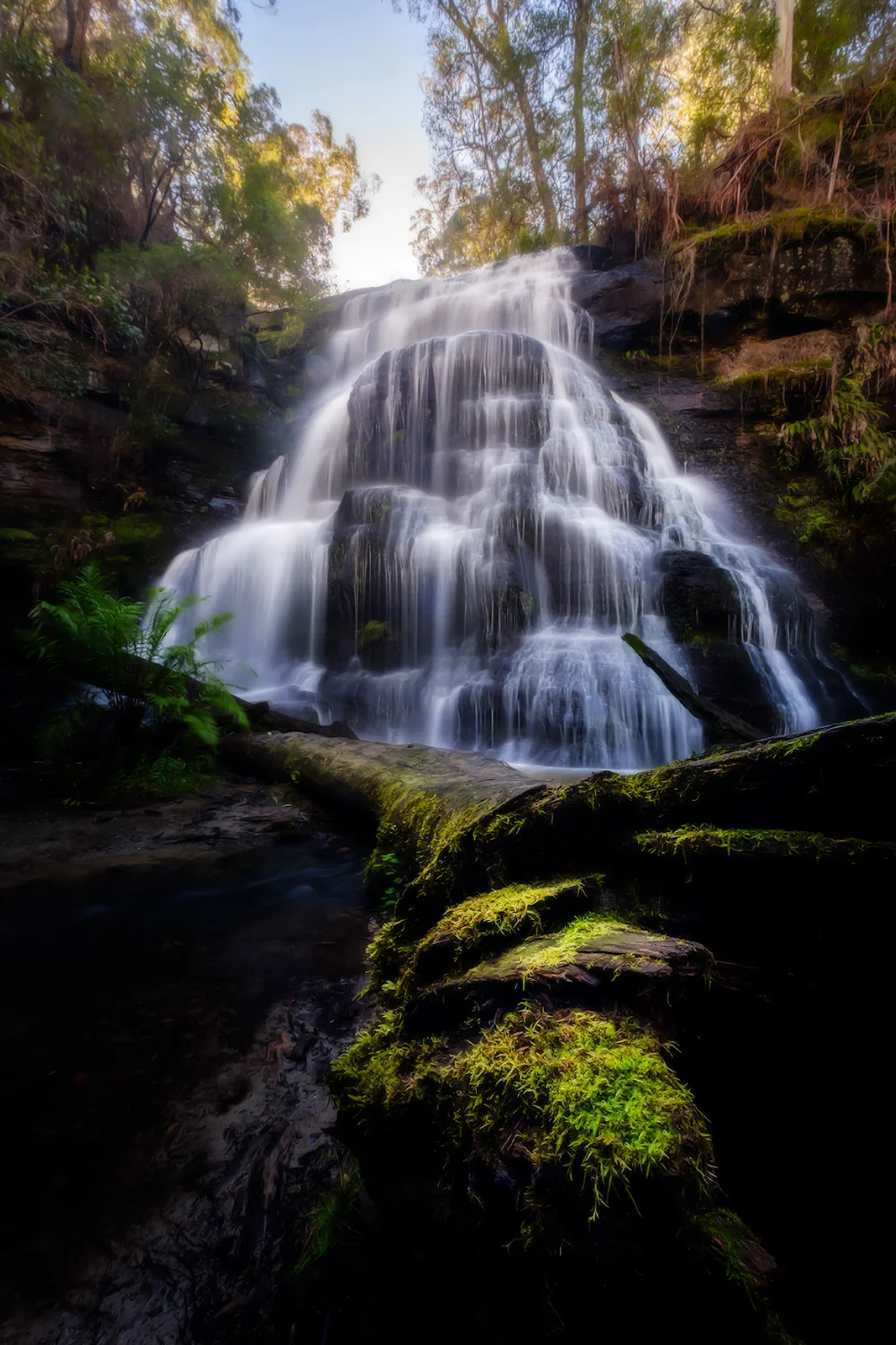 Henderson_falls02.jpg