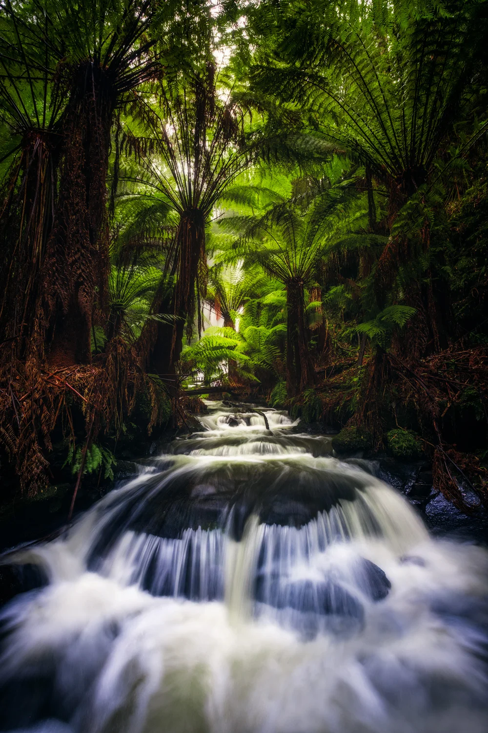 south_chaple_falls01.jpg