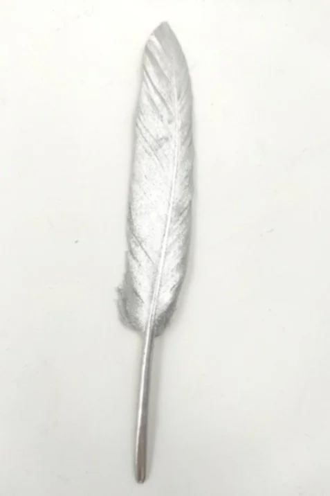 PLUMES �?? MiniMe Paris