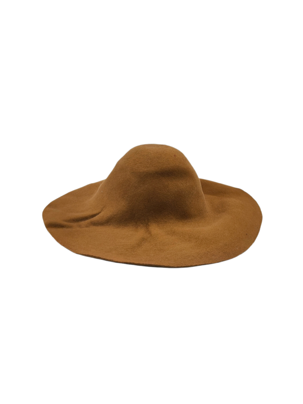 CAMEL.png