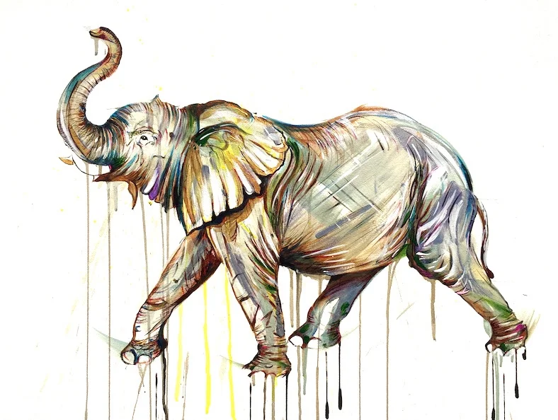 The Lucky Elephant