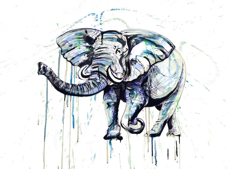 Wet Elephant