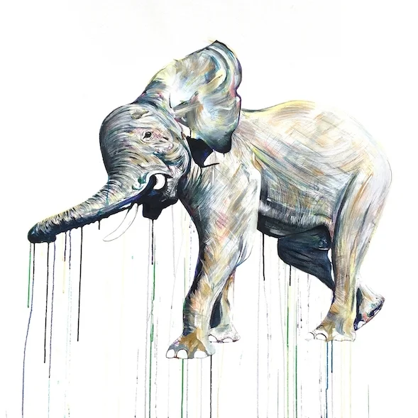 Elephant IV