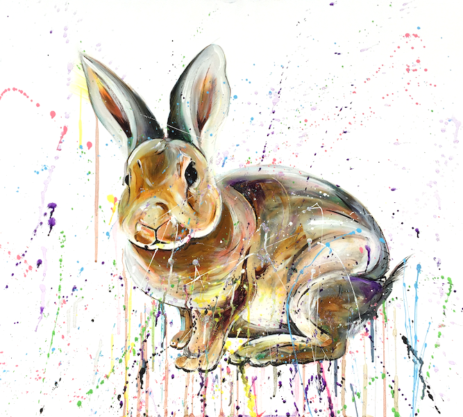 Bunny