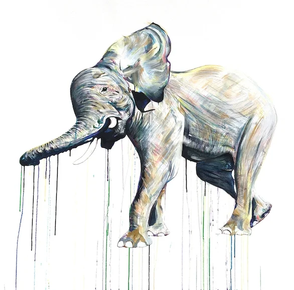 ElephantIV.HDG.jpeg