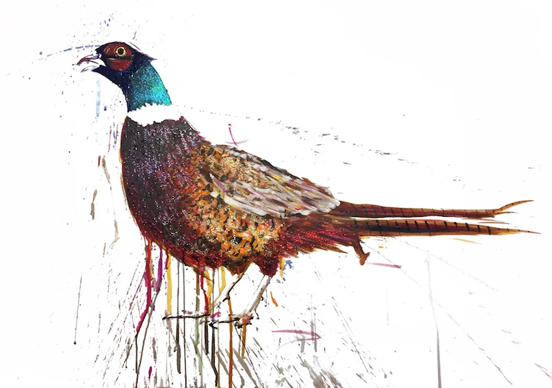 Pheasant