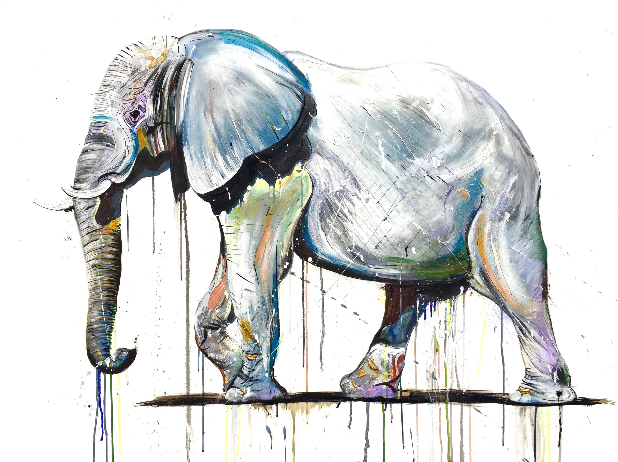 ElephantI.2016.HDG.example copy.jpeg