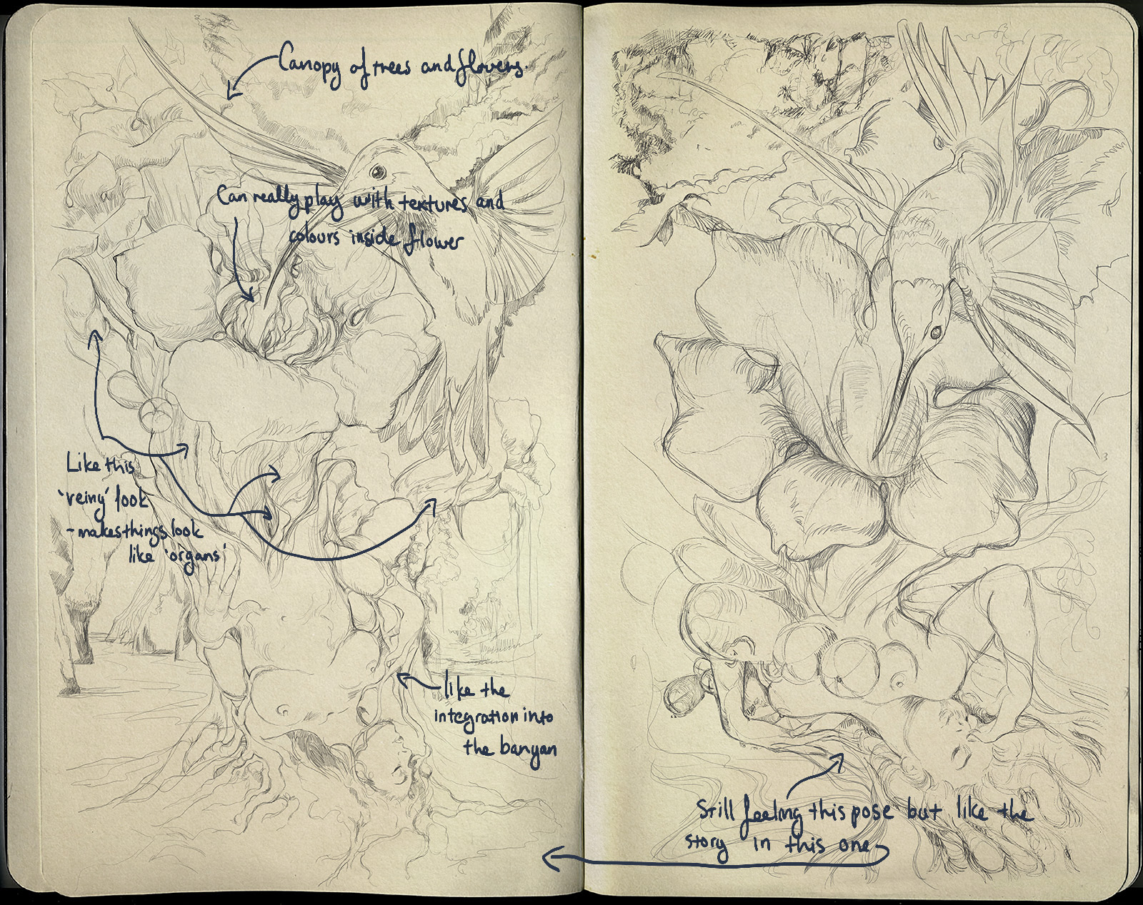 hummingbird sketch 3.jpg