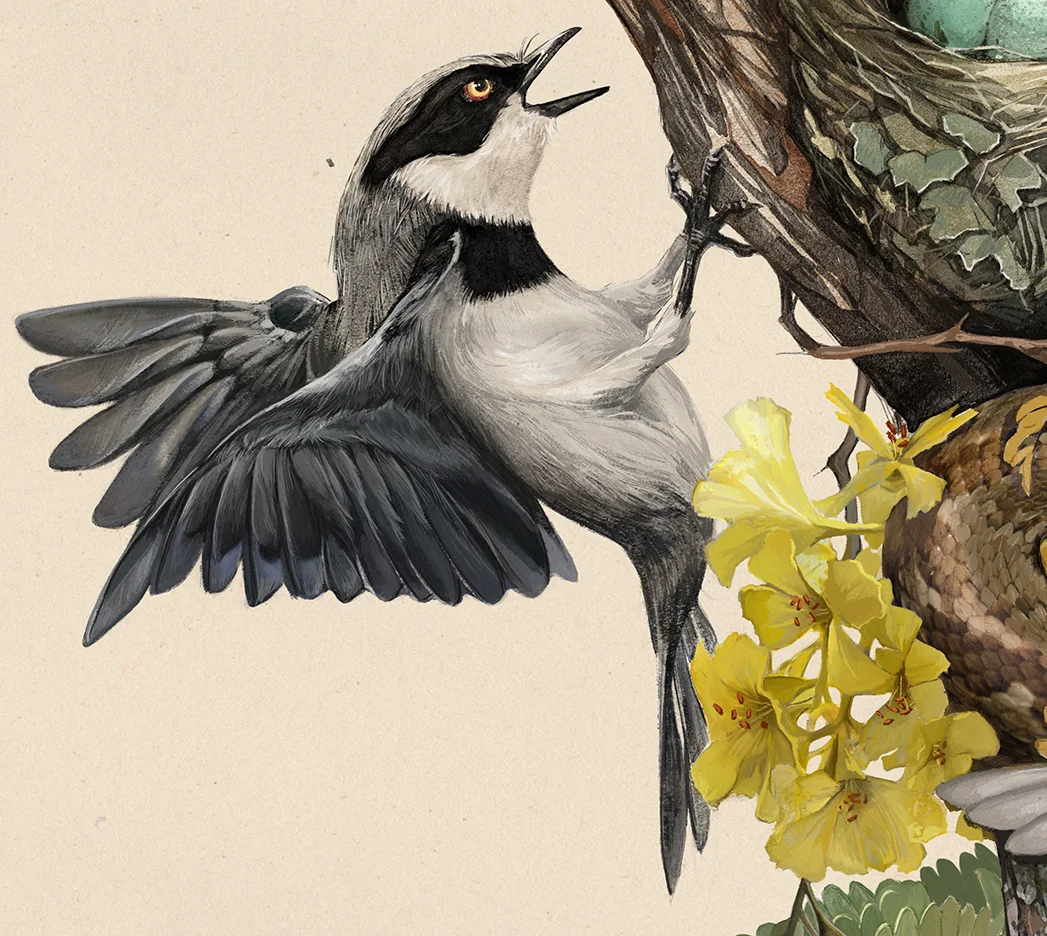 Caroline Vos Illustration Snake in nest crop 2.jpg