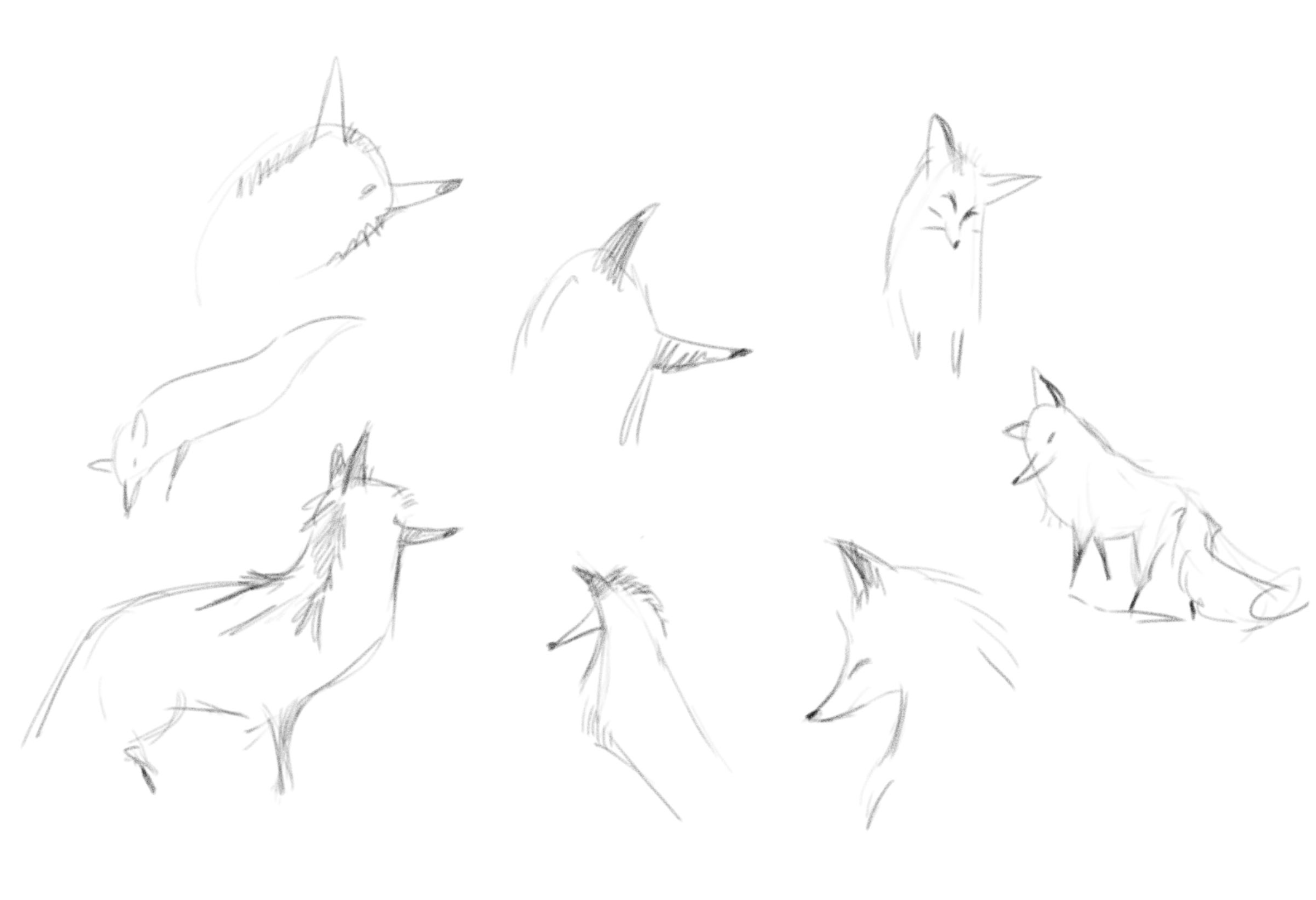 Screenshot 2026-01-29 at 16.57.09.png