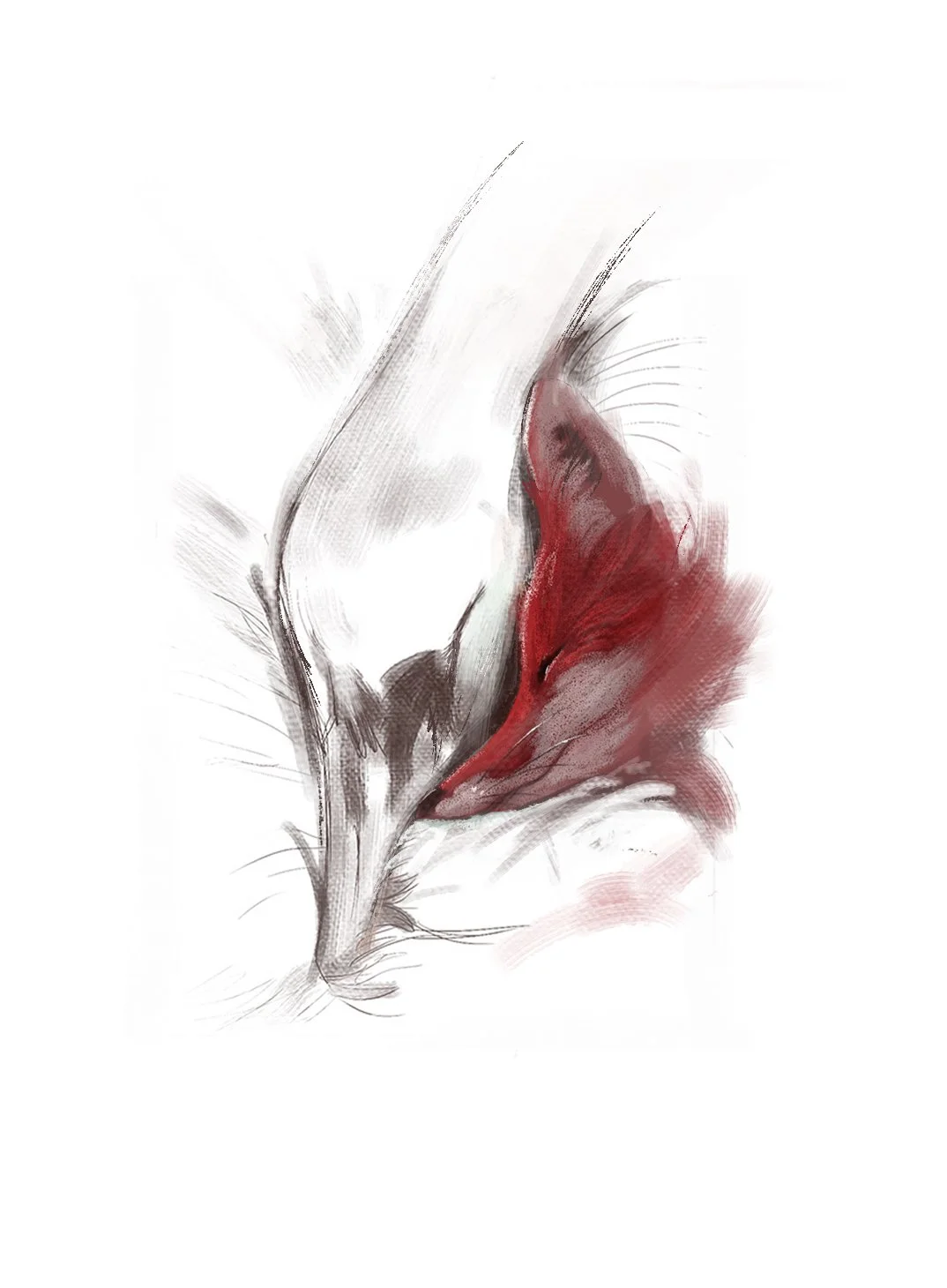 Fox_Swan_asleep_02.jpg