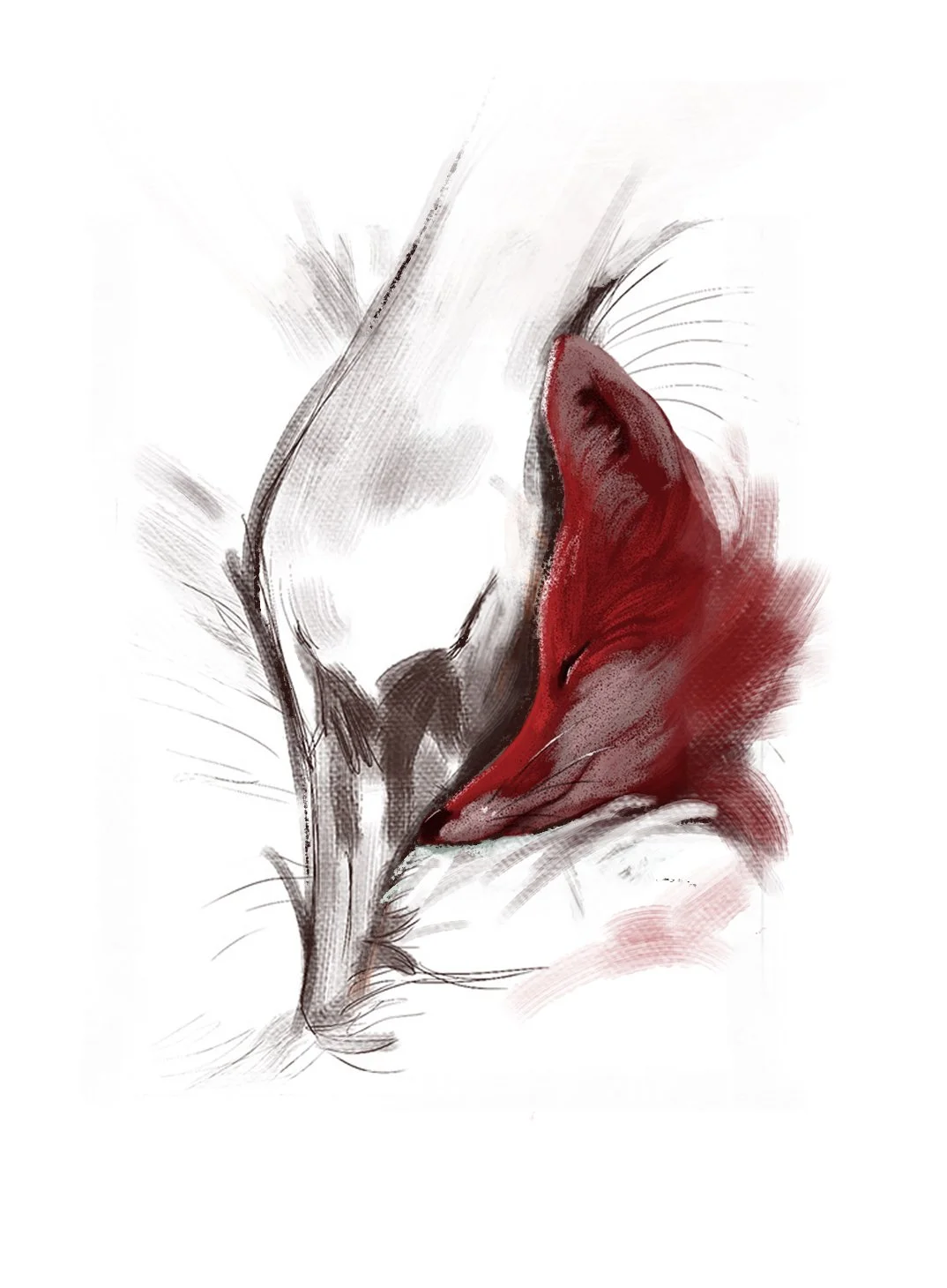 Fox_Swan_asleep.jpg