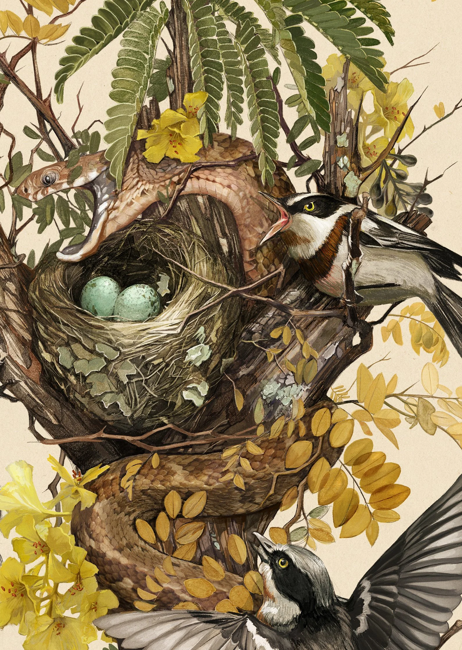 Snake in the Nest_Crop.jpg