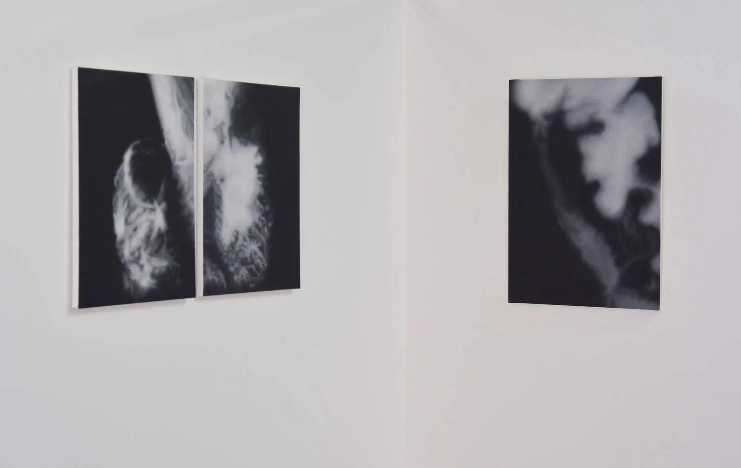 I Shall Walk Softly There (solo show)