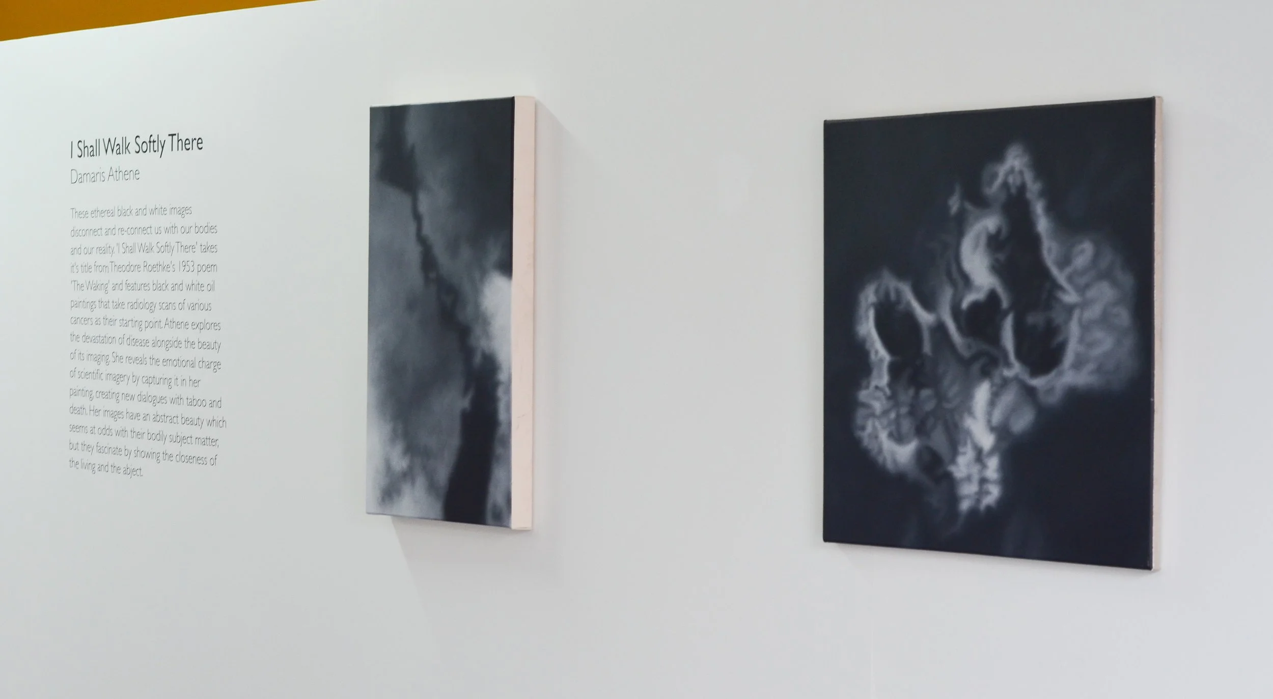 I Shall Walk Softly There (solo show)