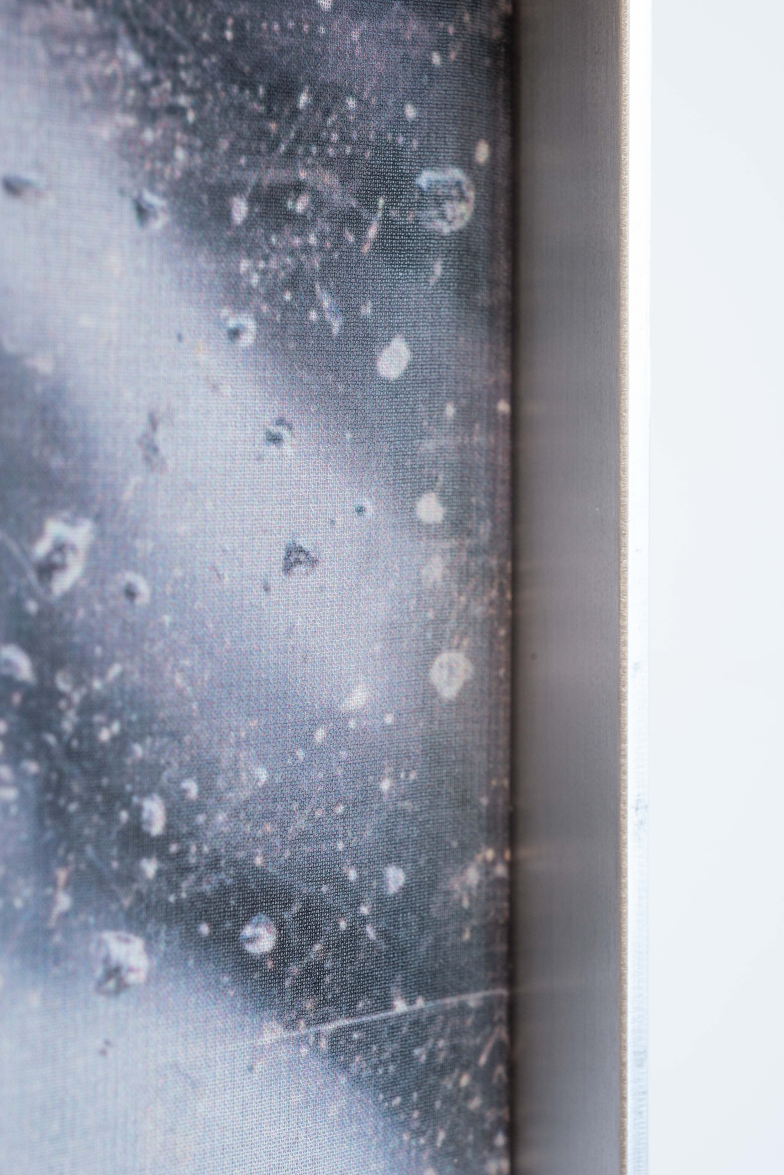 __deepcopy.016 (close-up)