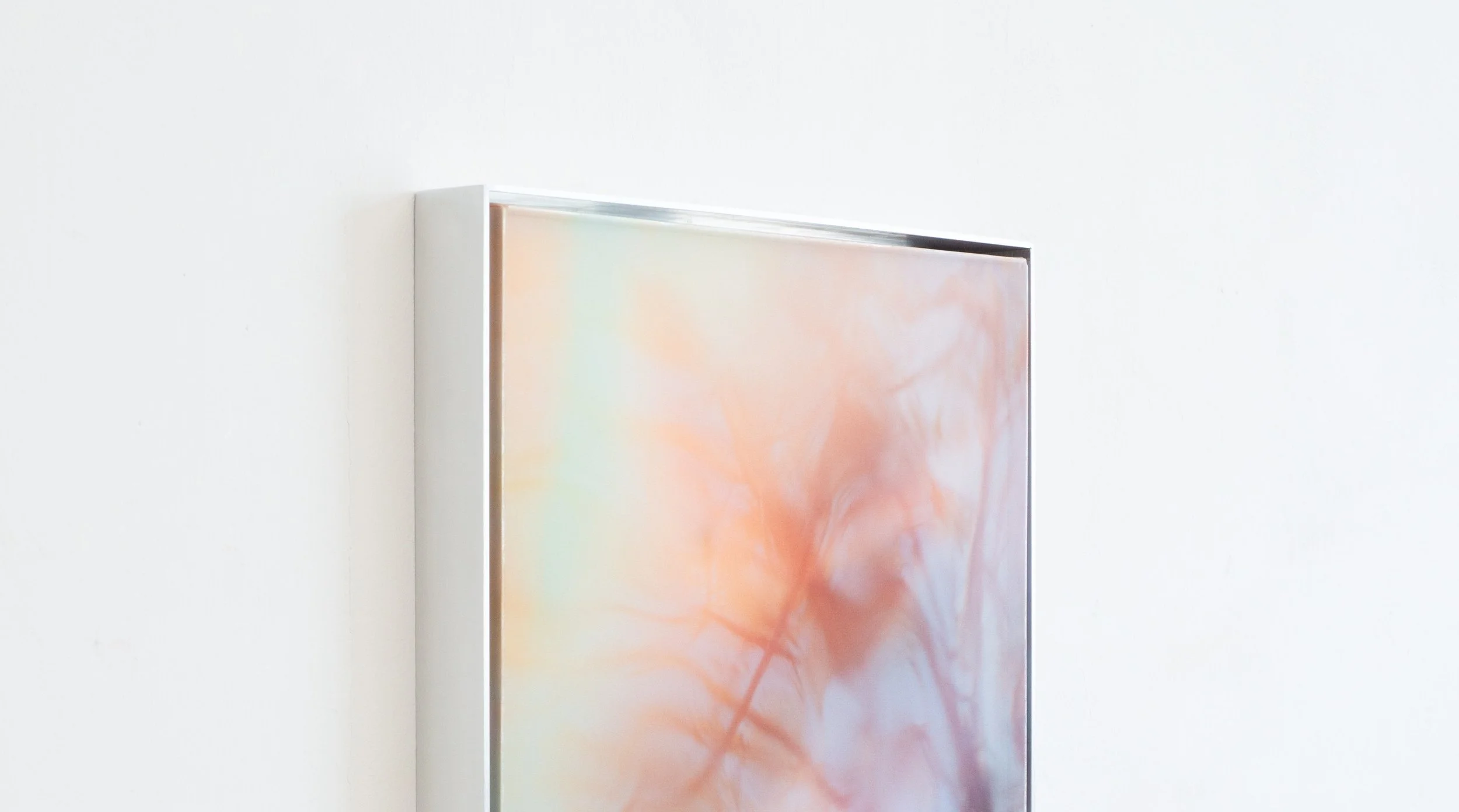 __deepcopy.008 - Photo by Damaris Athene-7 crop.jpg