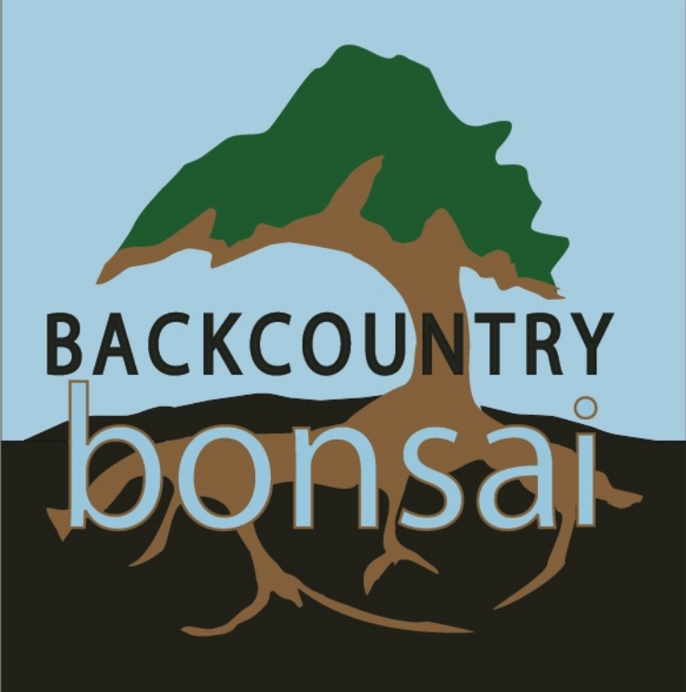 Backcountry   Bonsai
