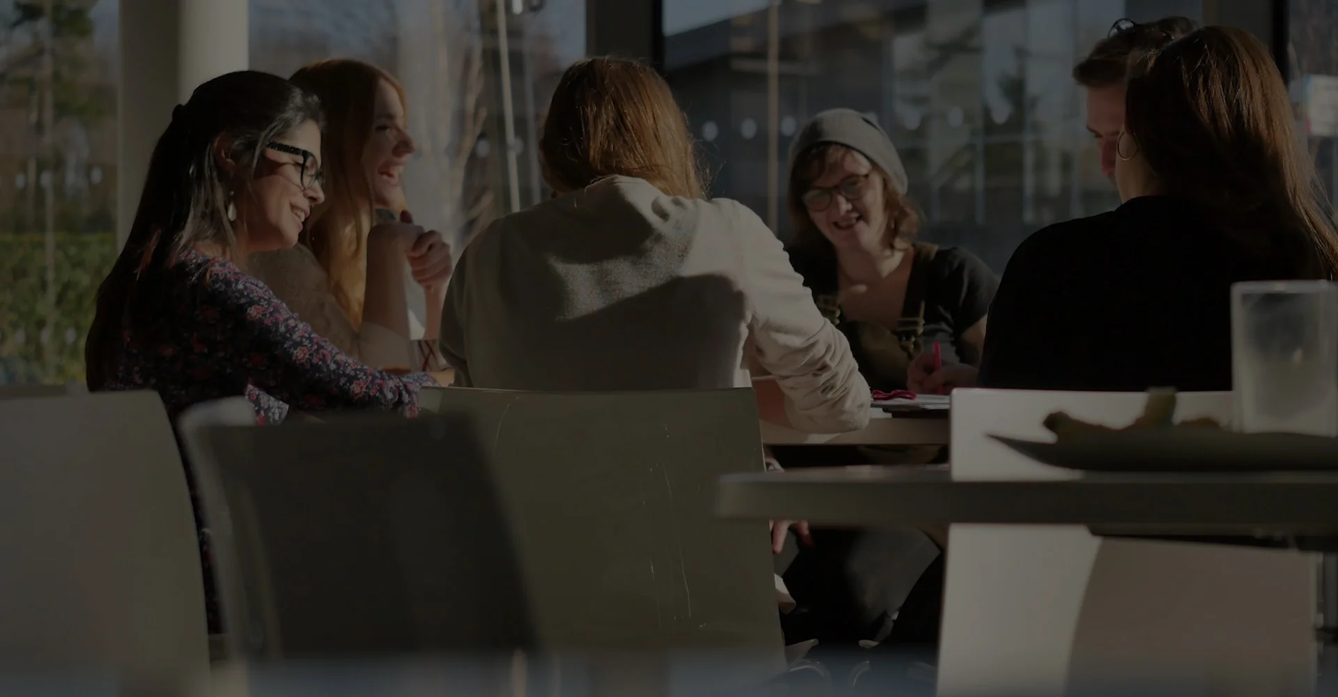Dragonlight Films - Education.jpg
