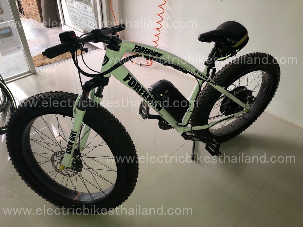 Fat Boy Electric Bike