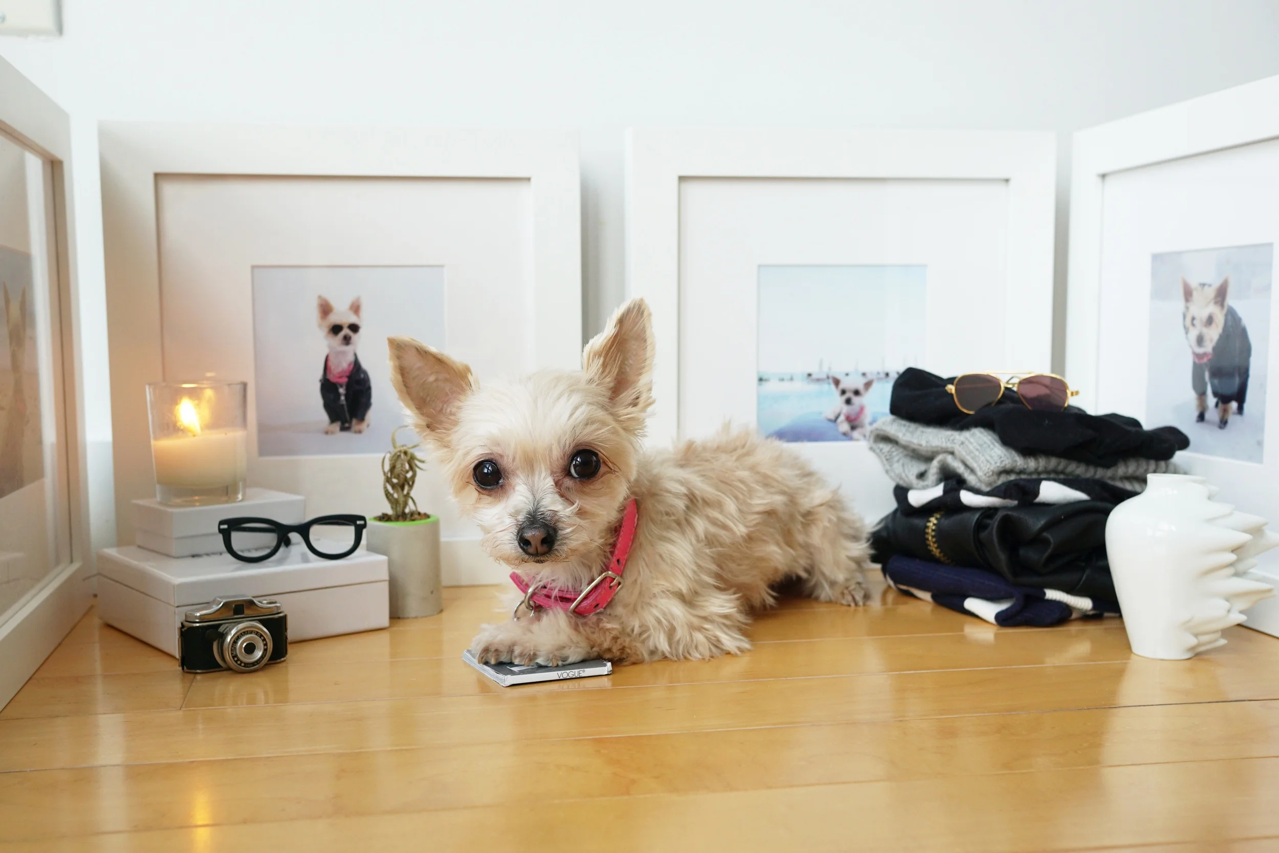 Settling into my new space, surrounded by nothing but my favorite things!