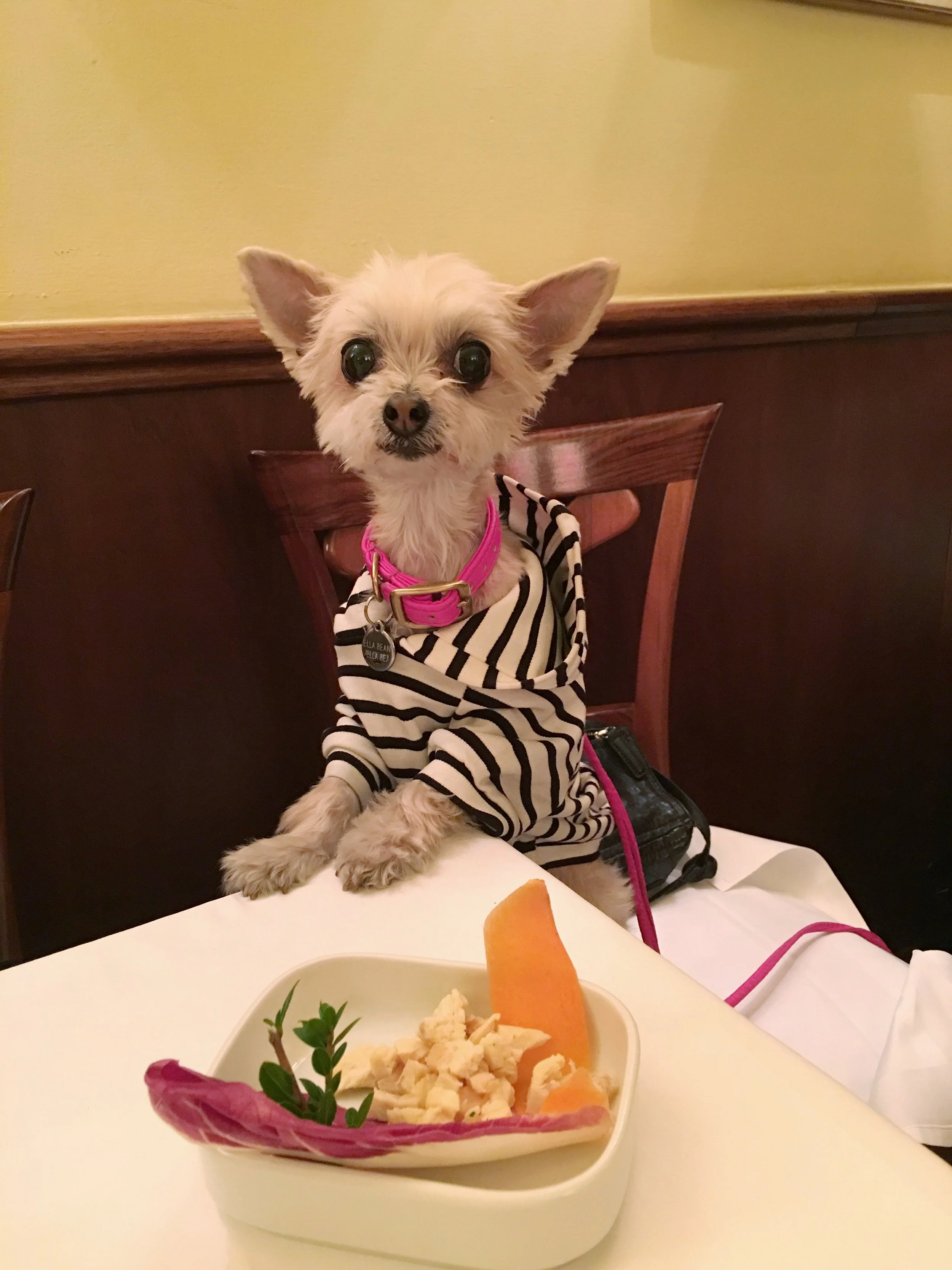 dining in style at bice.
