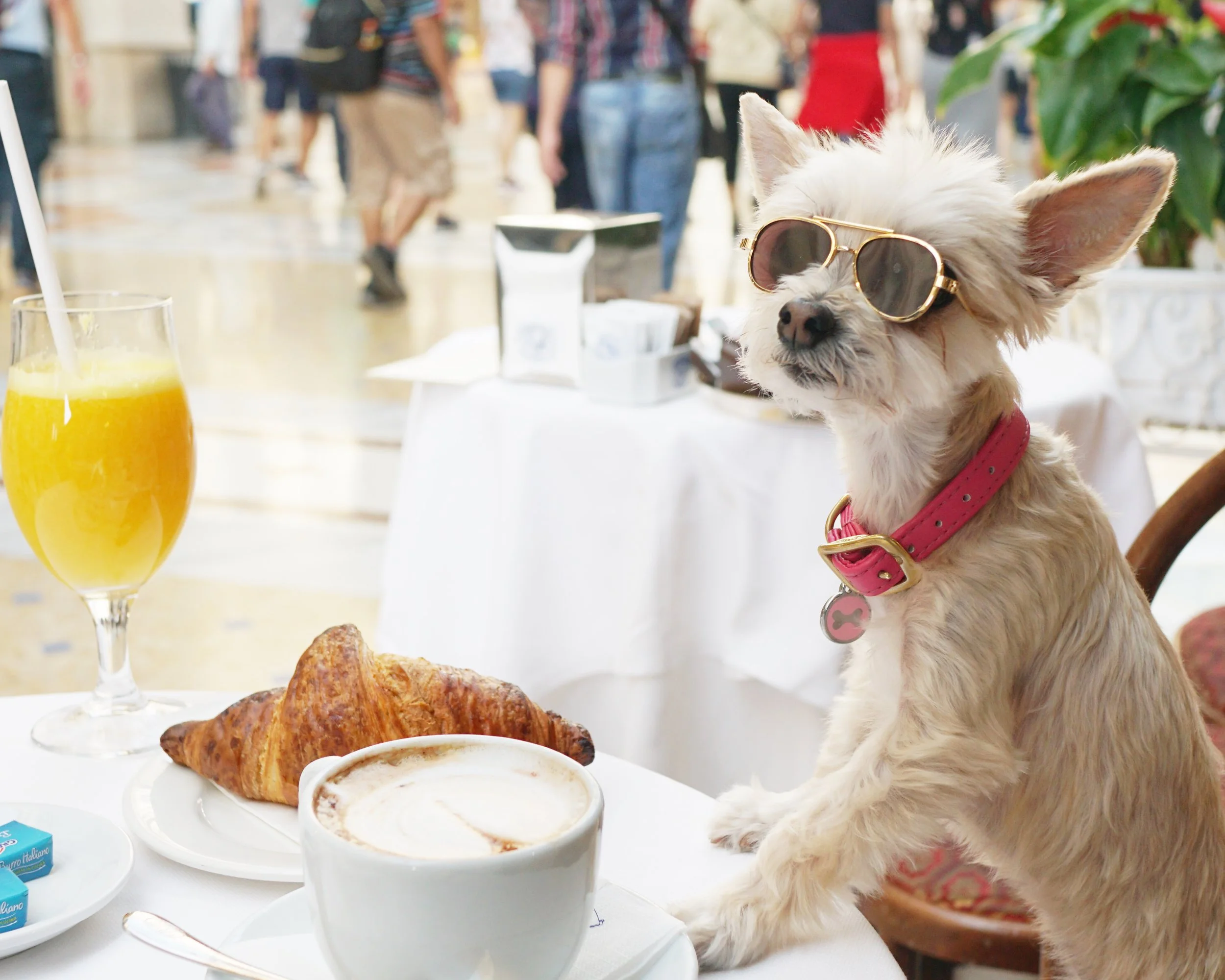 one more cappucino!