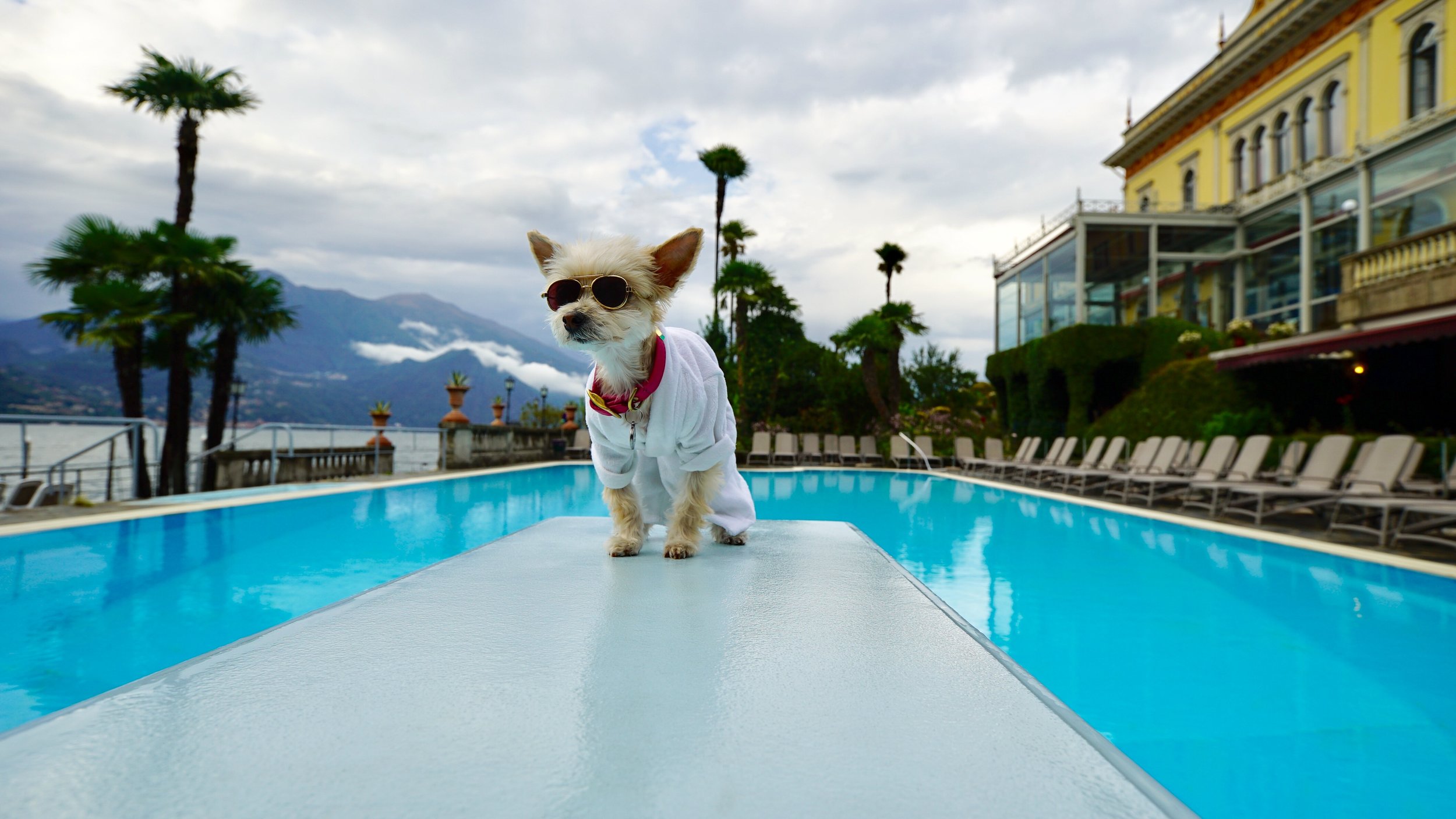 poolside bean