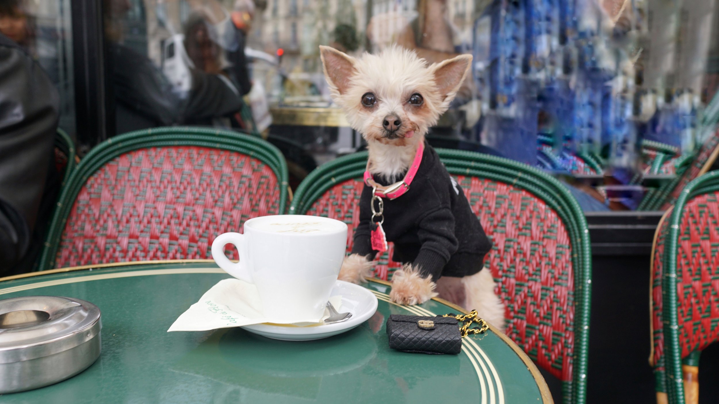 cafe de flore