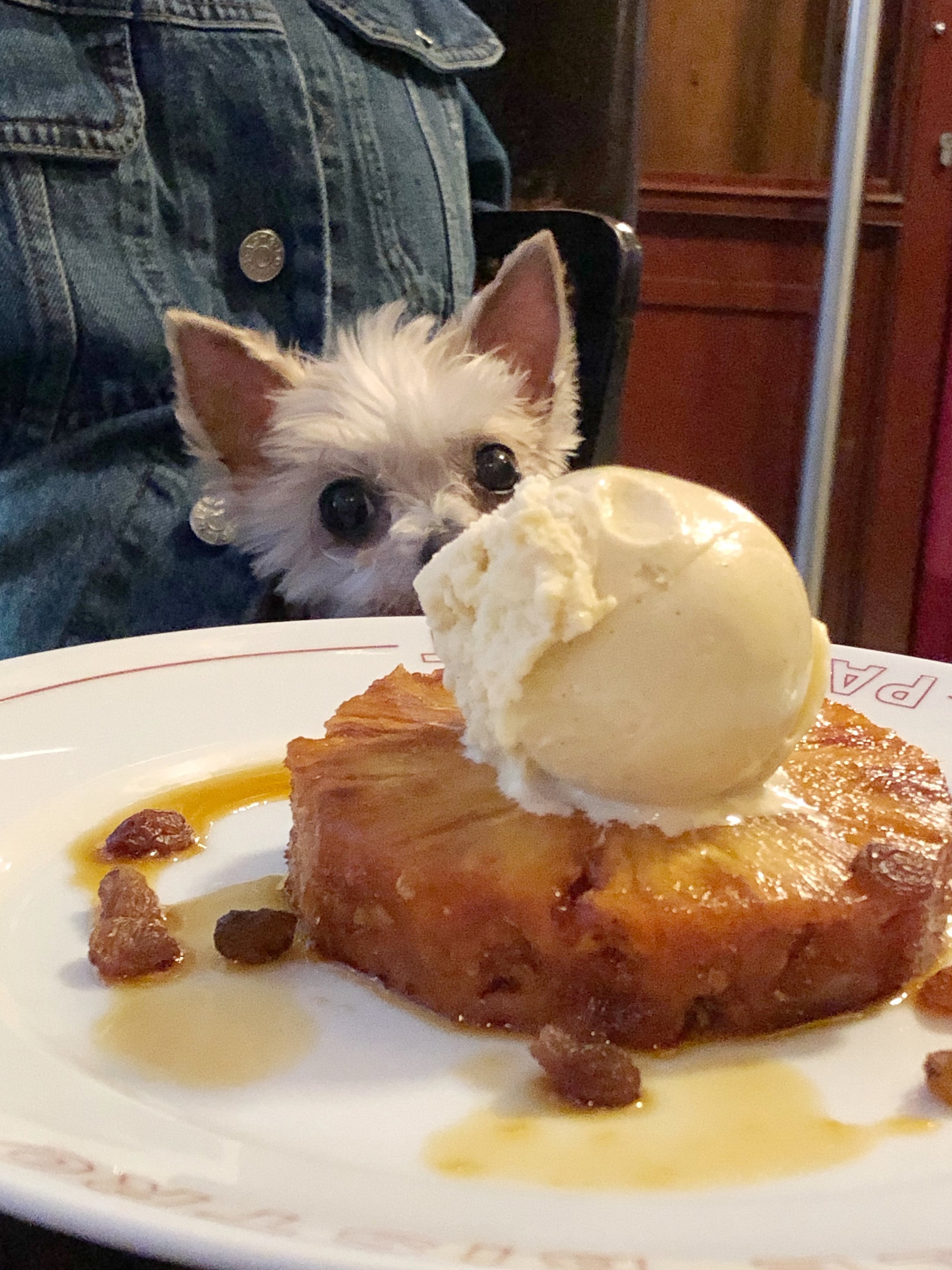 grilled pineapple &amp; ice cream