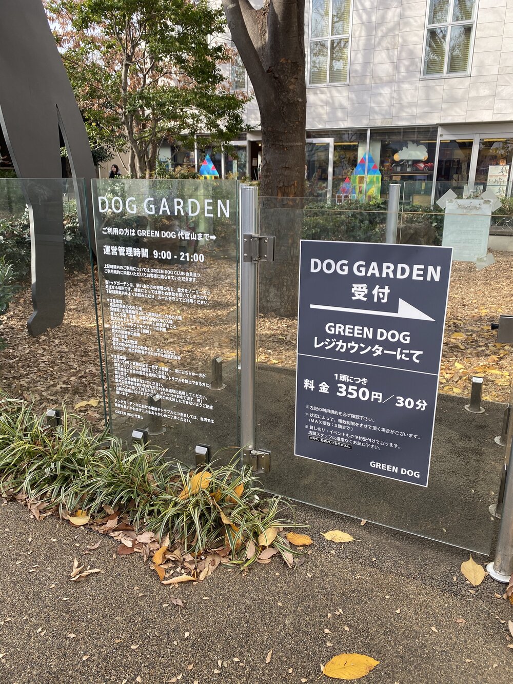 the dog park outside greendog