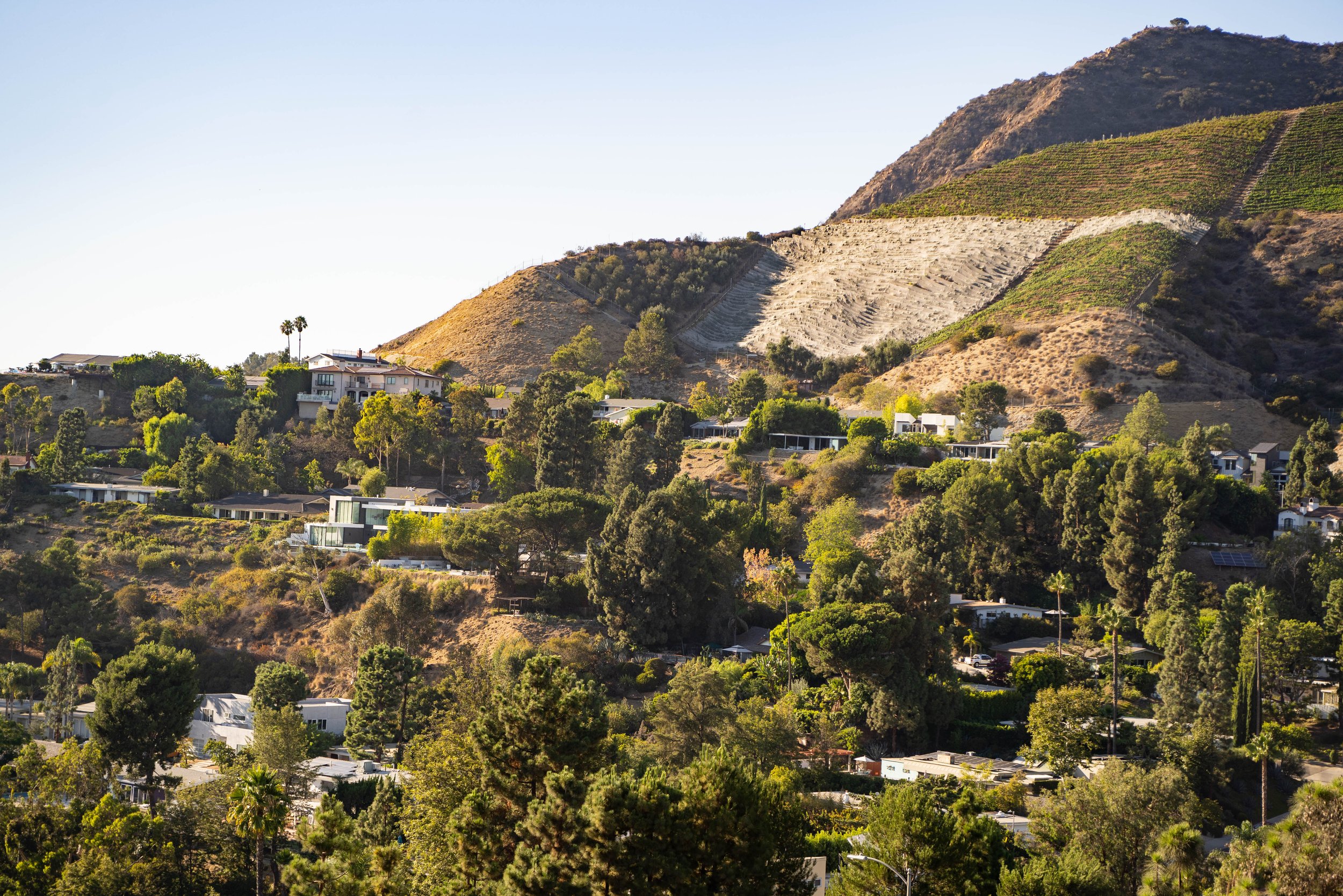Hilly residential neighborhood with modern houses, lush green trees, and a hillside with sparse vegetation and steep cliffs, overlooking a valley under a clear sky.