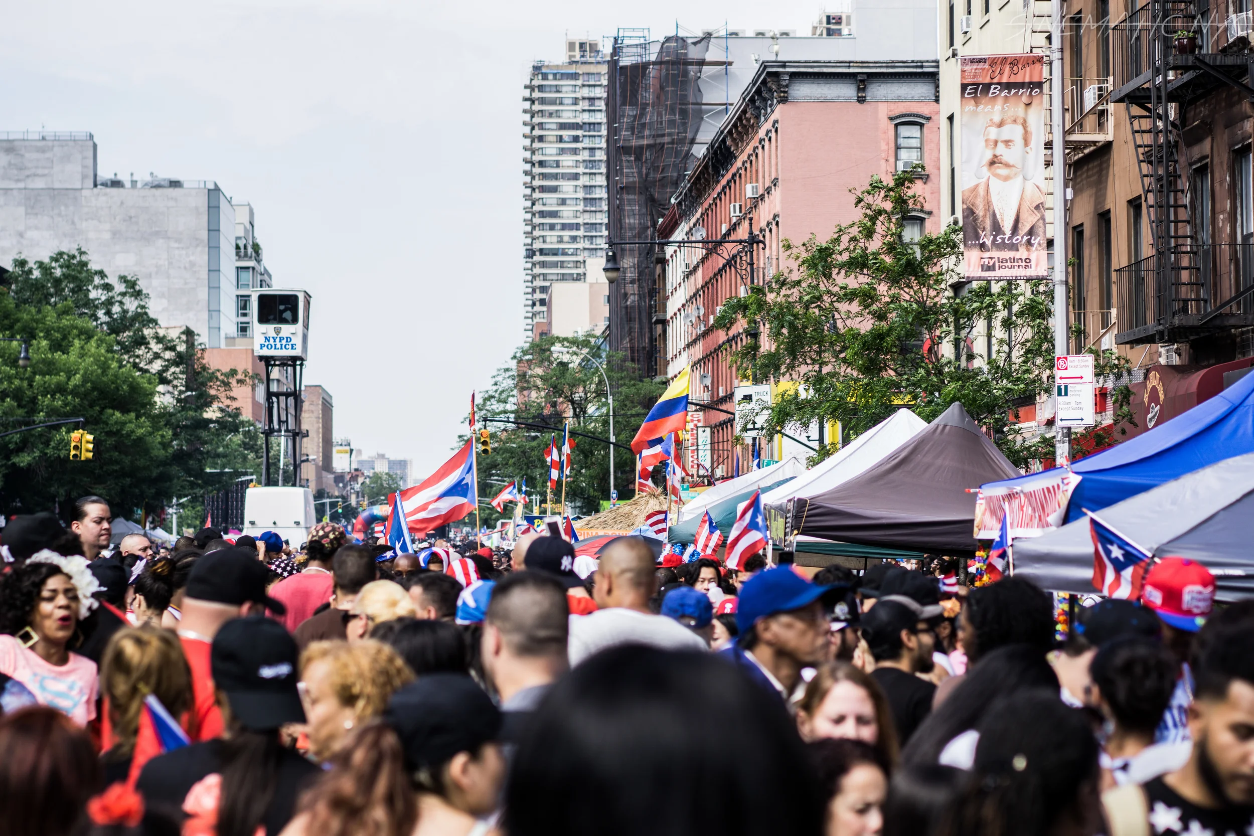 prfestival-2347.jpg