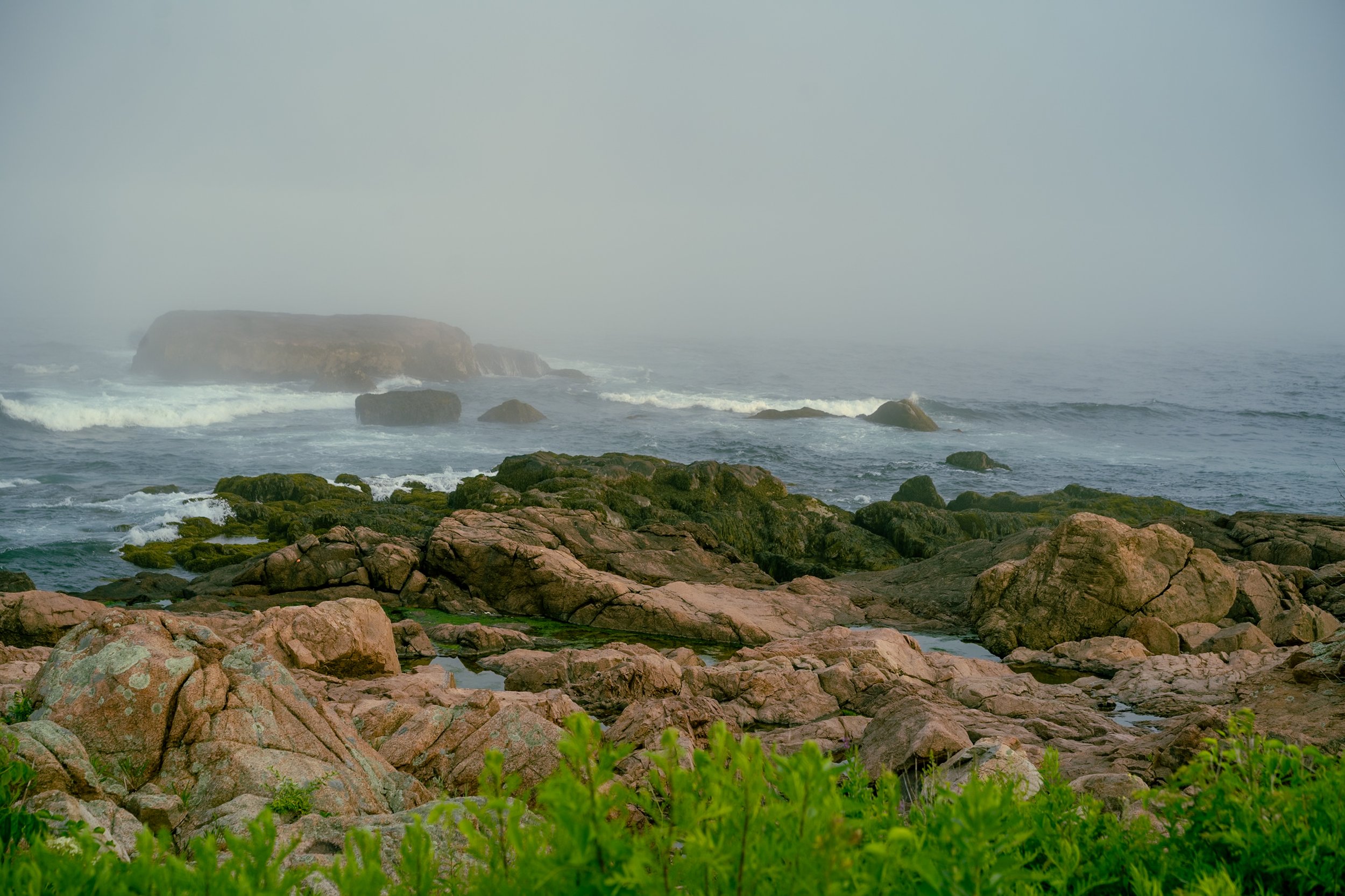 Rocky coastline with green vegetation in the foreground, moss-covered rocks, and ocean waves under a foggy sky.