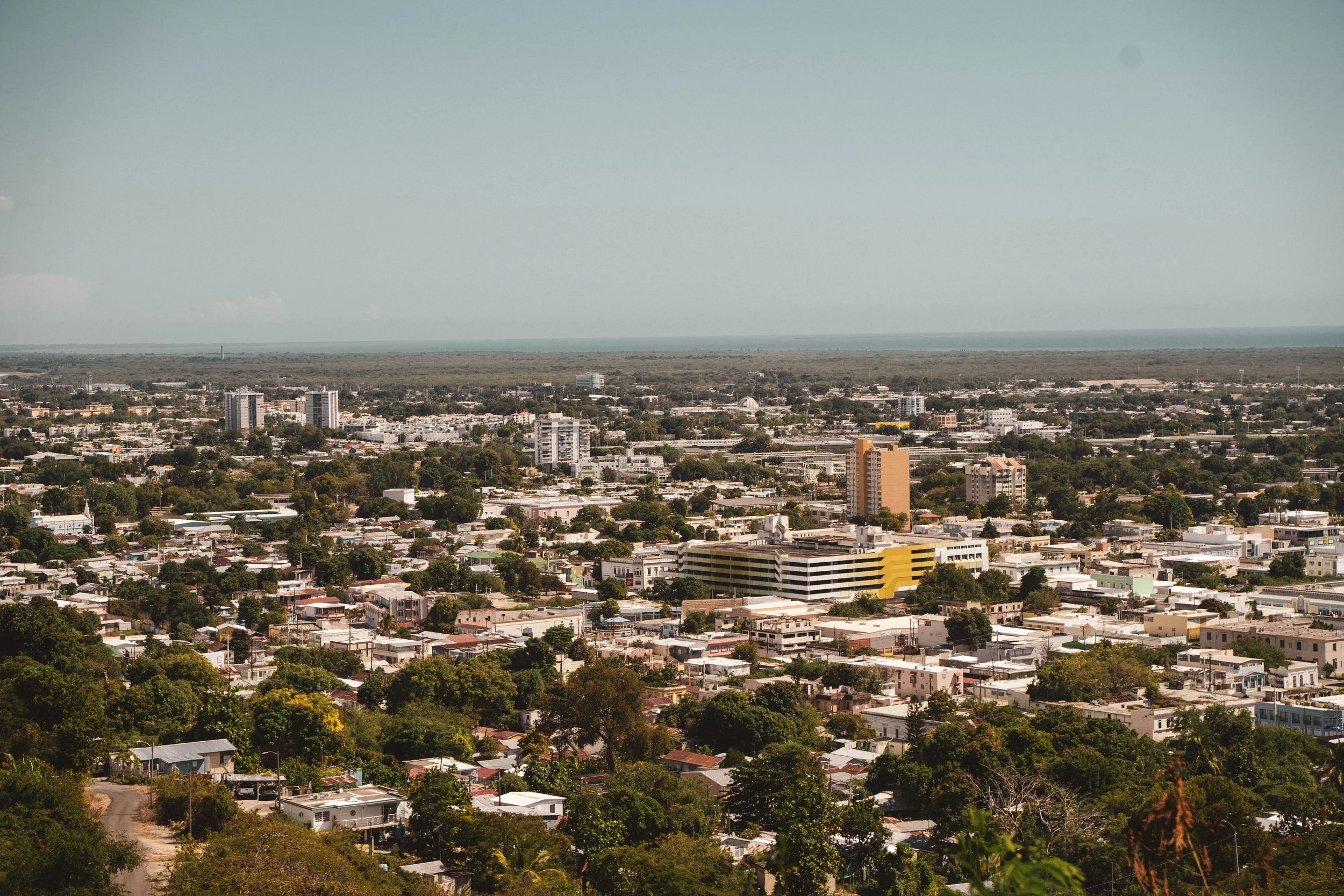 A cityscape with various buildings, trees, and a distant water body on the horizon under a clear sky.