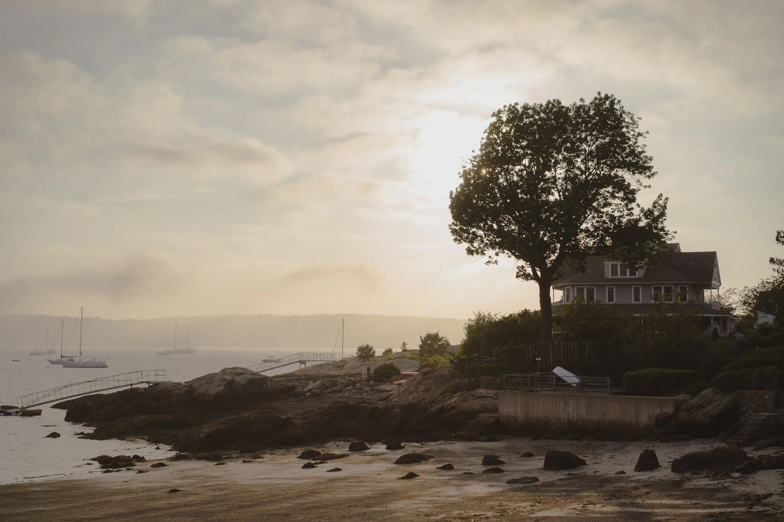 A peaceful waterfront scene at sunset with sailboats on calm water, rocks and sand along the shore, a large tree, and a house on a hill.