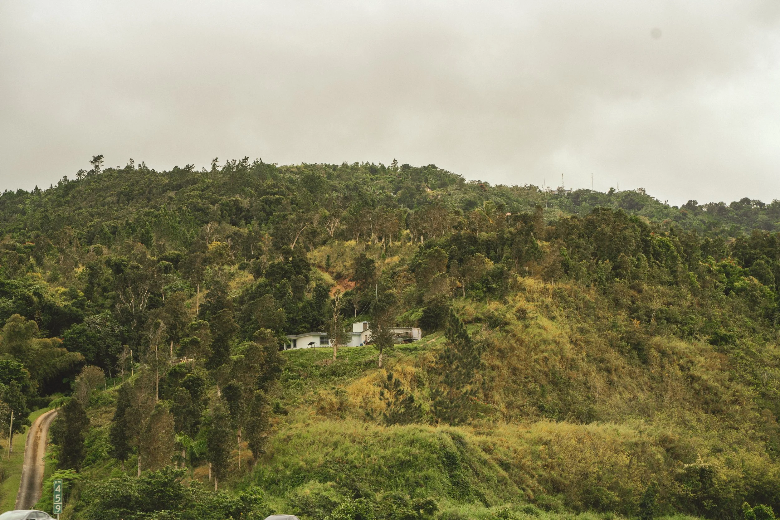 Hilly landscape with dense green trees and a few scattered houses, overcast sky.