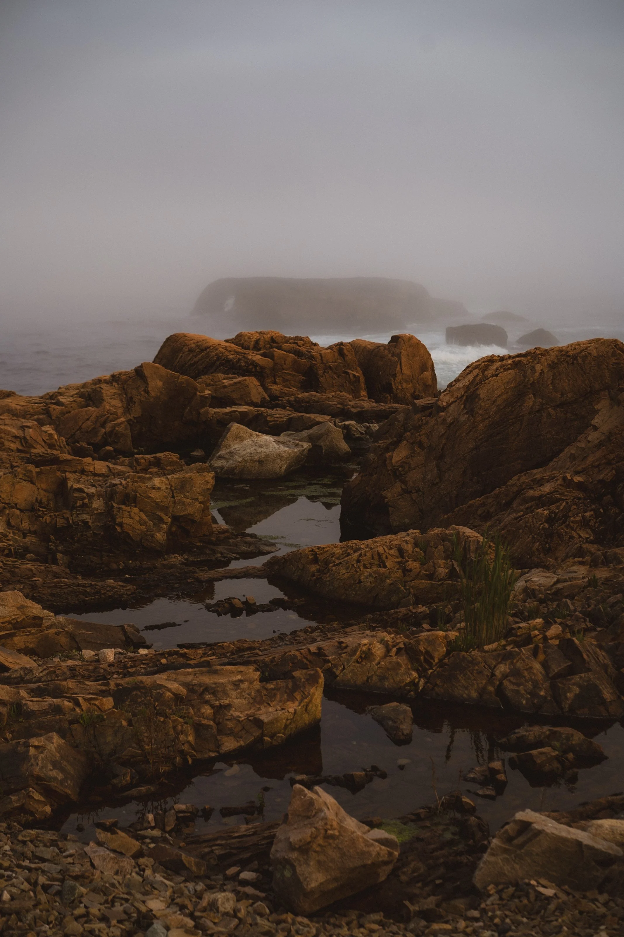 A rocky shoreline with tide pools and large rocks; foggy weather with a faint island or landmass in the background.