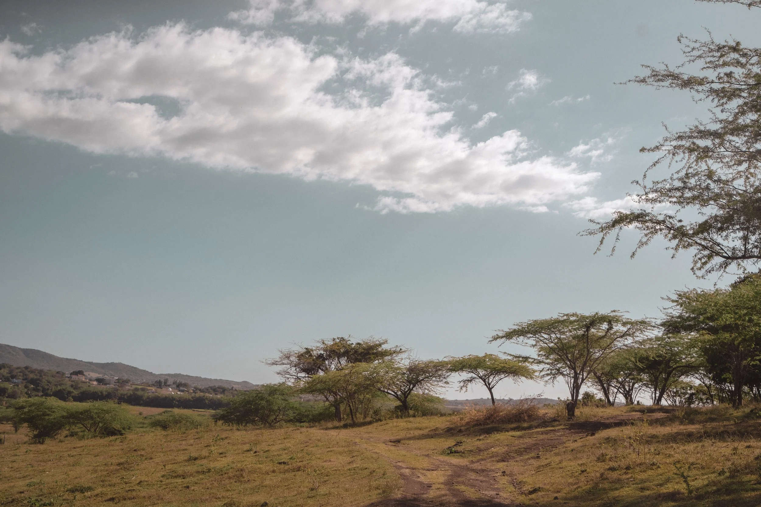 A dirt path winds through an open grassy landscape with sparse trees. In the background, there are distant hills under a partly cloudy sky.